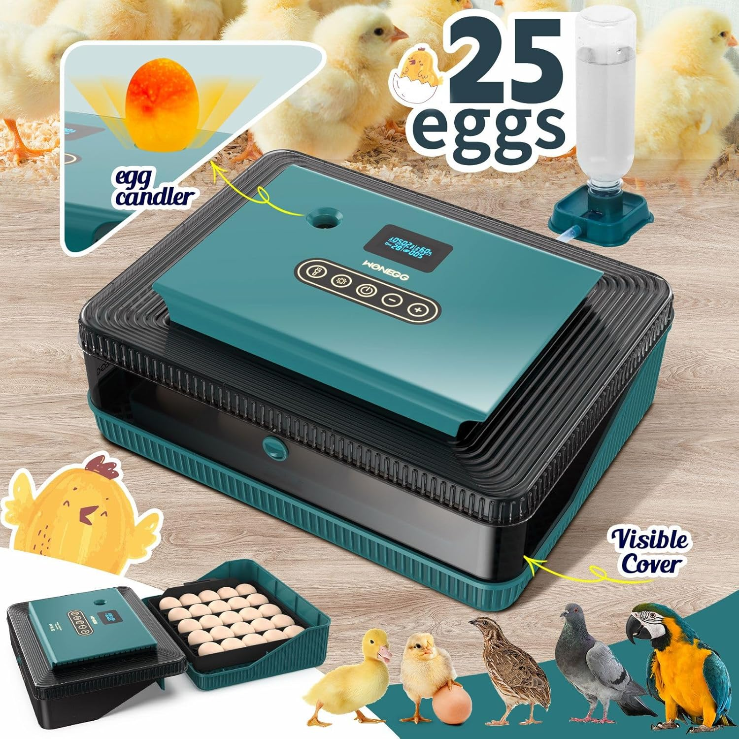 Pet Scene 25 Egg Incubator Auto for Hatching Chicks with Automatic Egg Turner Pro, Humidity Display, Egg Candler, Egg Incubator for Chicken, Duck image number 5