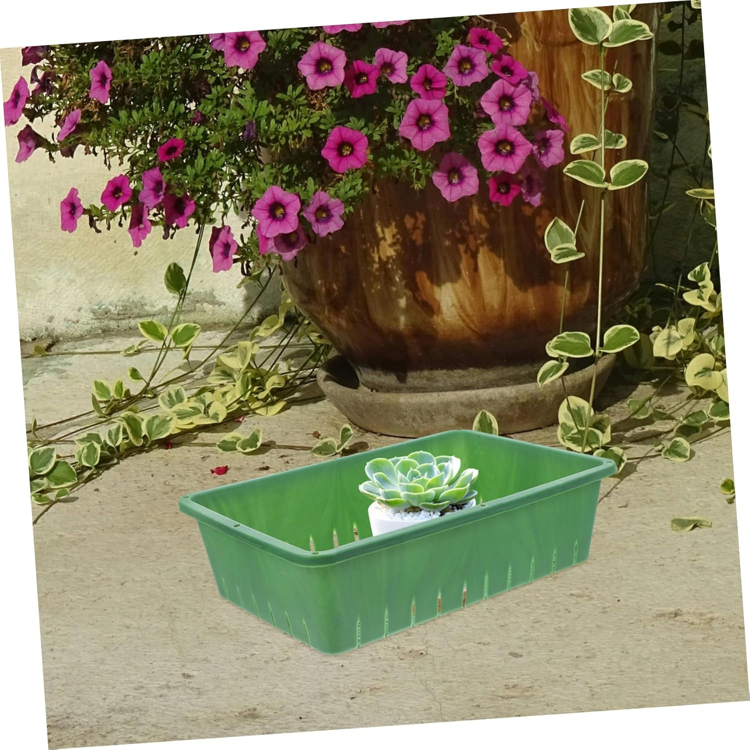 DECOMELODY Seedling Tray Plastic Growing Trays for Indoor Gardening 26X18X7Cm Small Nursery Supply 2Pcs Rectangular Planting Accessory for Seed Germination and Succulent Storage image number 2