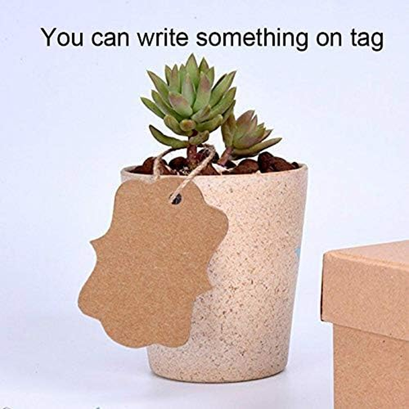 LYSAIMG 300Pcs Kraft Paper Tags,2Inch*1.2Inch Three Colors Kraft Paper Gift Price Tags for Christmas Valentine'S Day Wedding Party Favor Gift Tags, with Three 20 Meters Natural Jute Thread image number 2