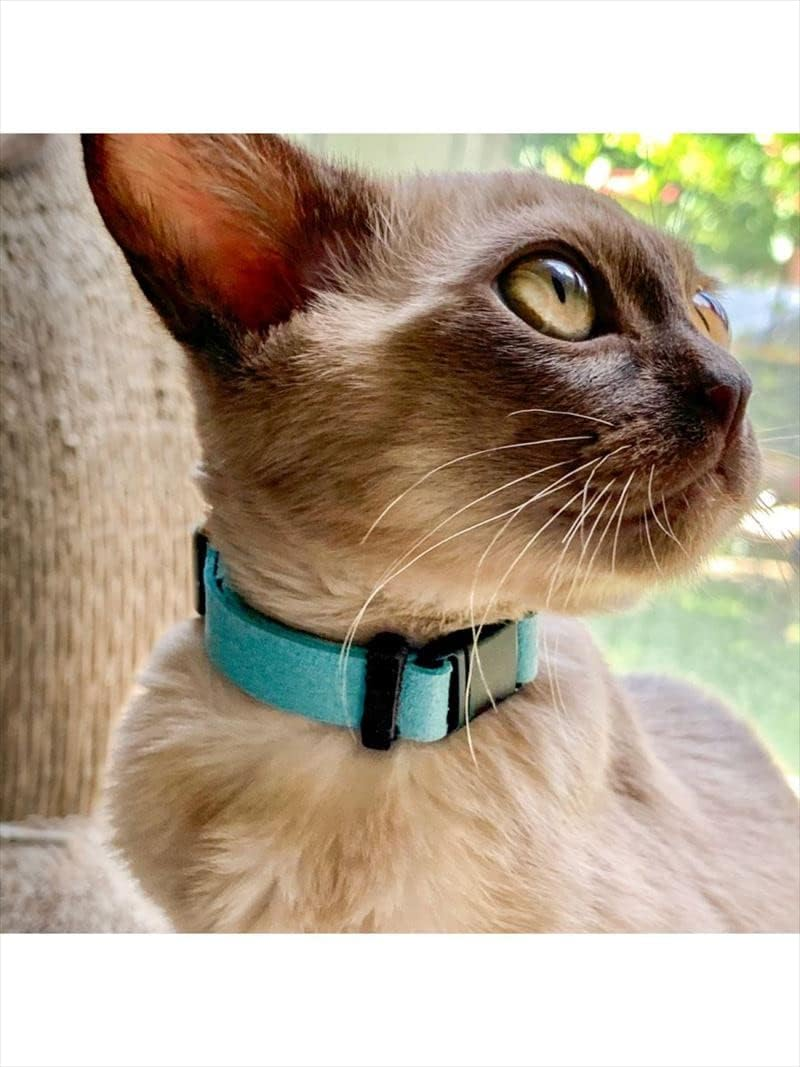 Comfort Suede Cat Color XS Blue Lagoon