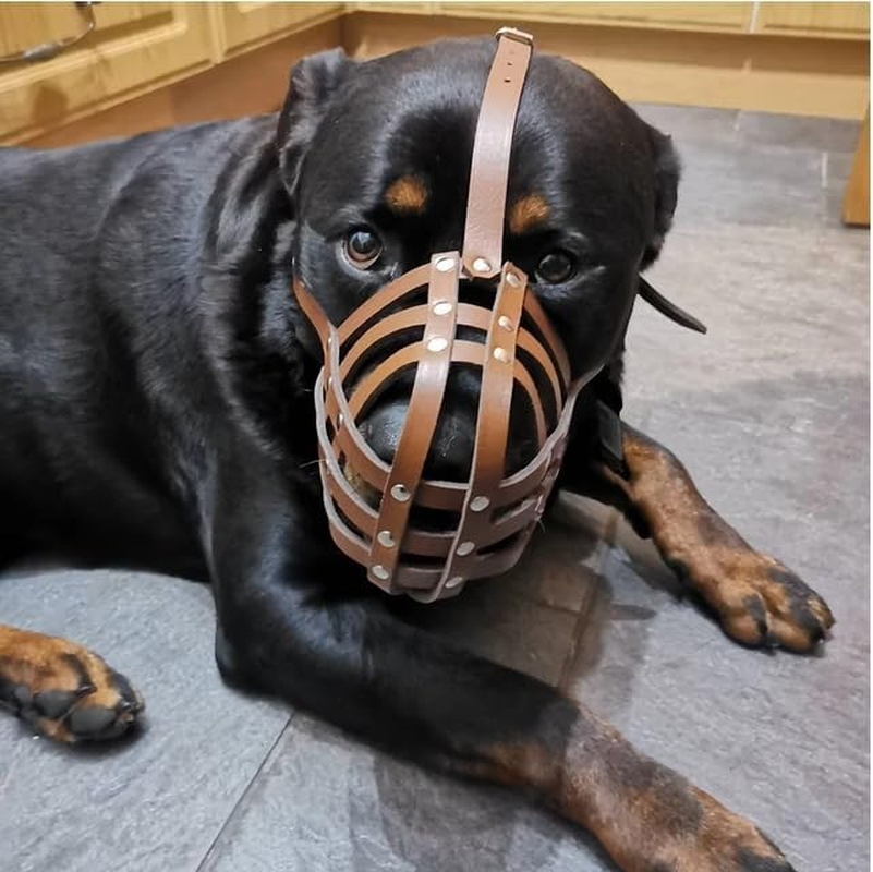 Genuine Leather Dog Muzzle for American Bully, Bully XL and Other Similar Snout (Brown Leather, AB4) image number 5