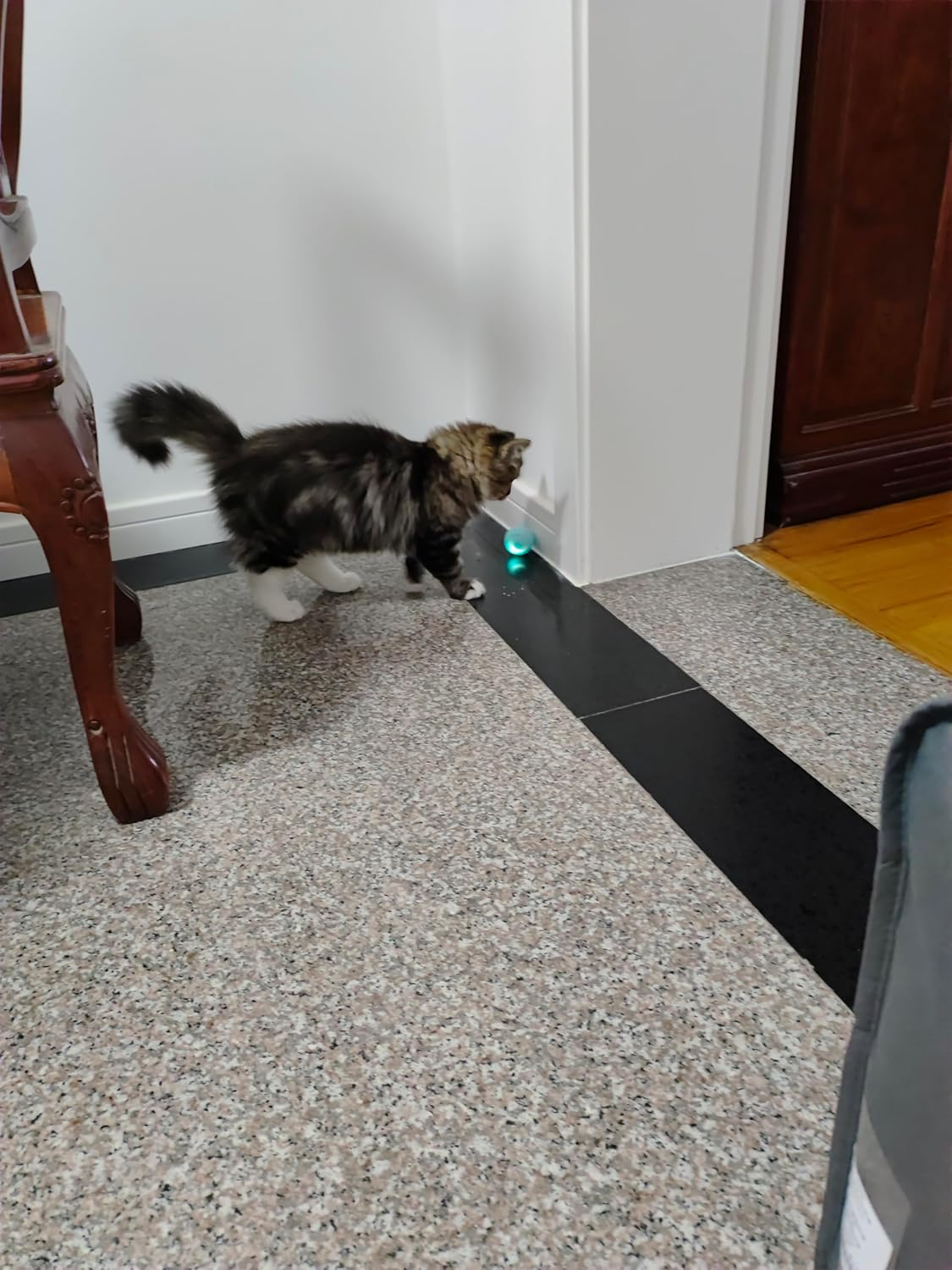 Enjoying Cat Toys Ball Interactive Cat Ball with LED Light & USB Rechargeable Rolling Balls Automatic Moving 2 Modes for Cat Kitten Exercise, Blue image number 5