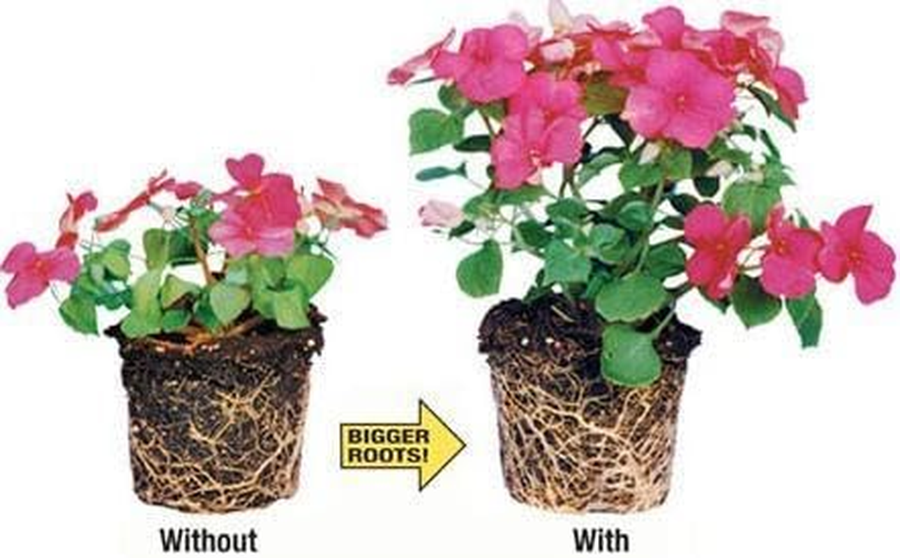 Rootblast - Grow Bigger Strong Plants