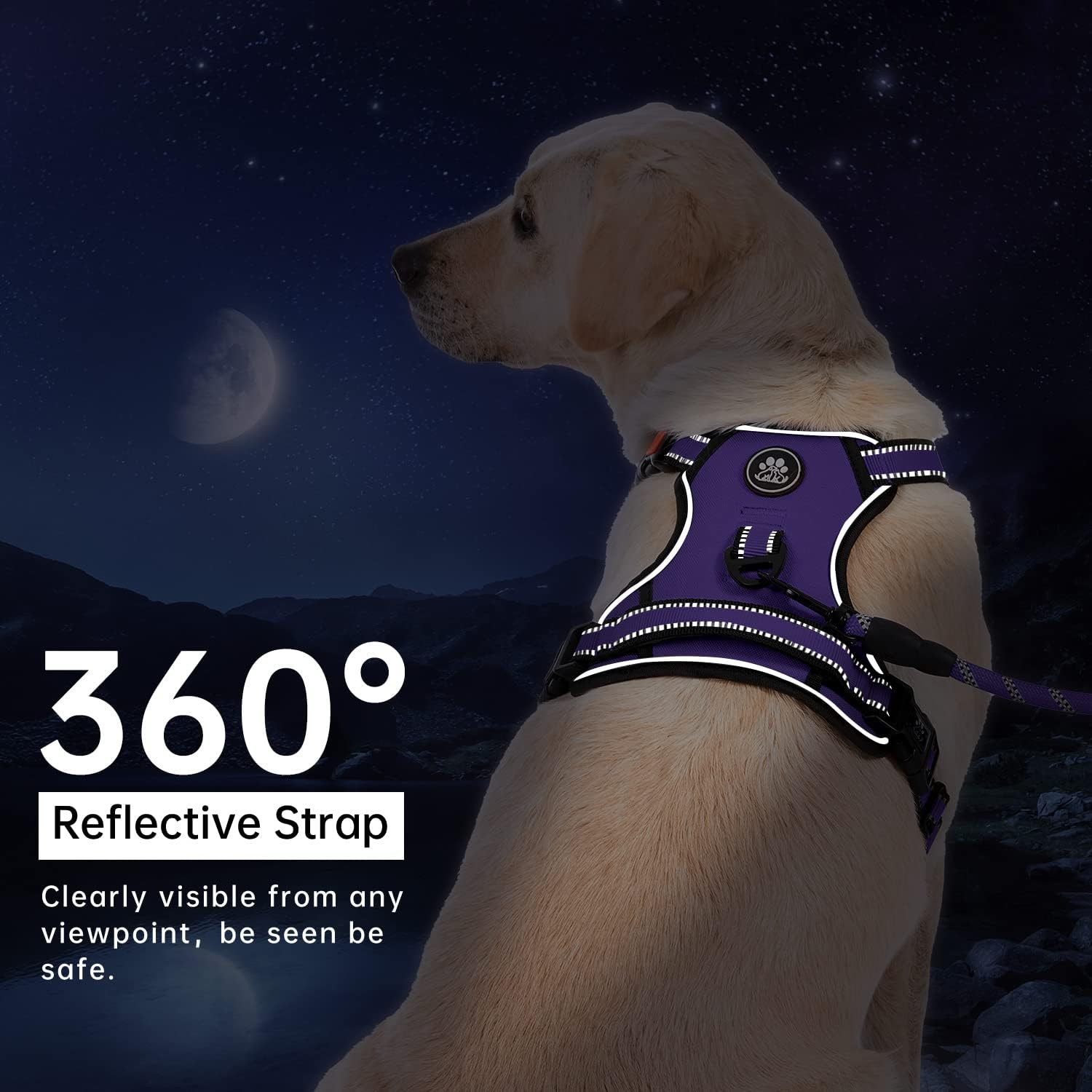 IVY&LANE No Pull Dog Harness for Small Dogs, Dog Vest Harness with Leash, Safety Belt and Storage Strap, Fully Adjustable Harness, 360&deg; Reflective Strip, Soft Handle (Purple, S)