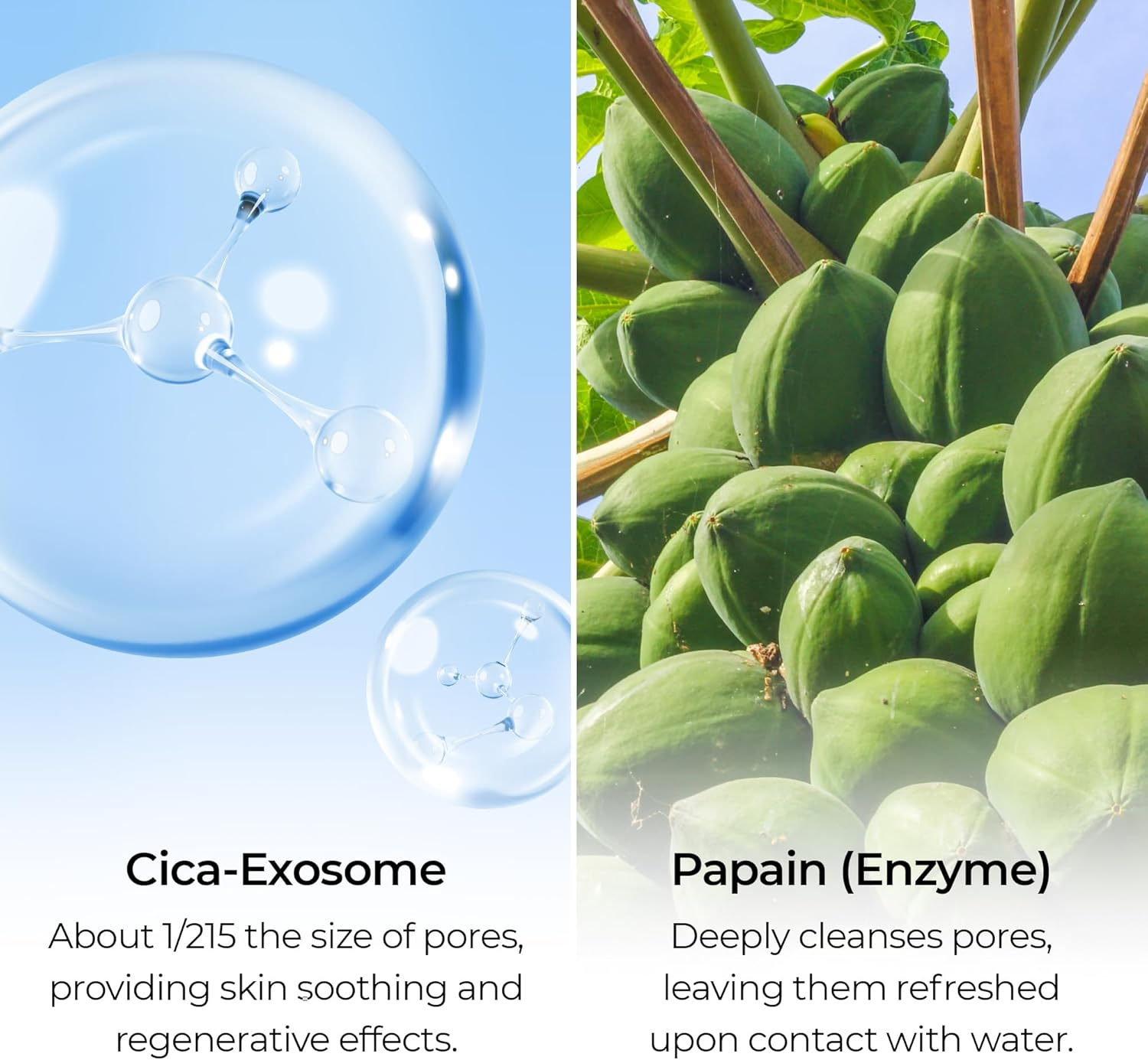 Exosome Enzyme Cleanser 50G image number 3