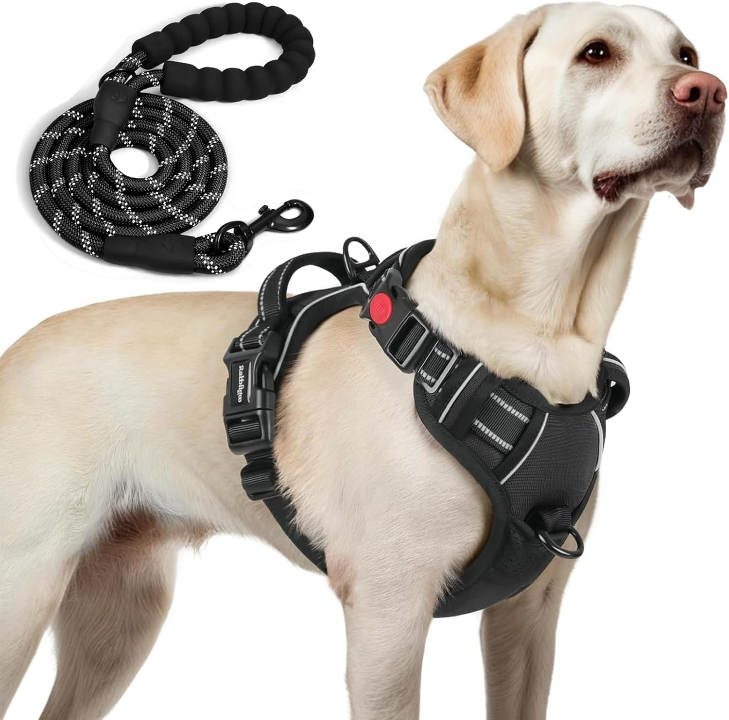 Dog Harness with Leash Set, 1.5M, Adjustable, No Pull, Reflective Vest for Dogs, Safe, Comfortable, and Durable &ndash; Ideal for Walking, Training, and Outdoor Adventure (Large) image number 1