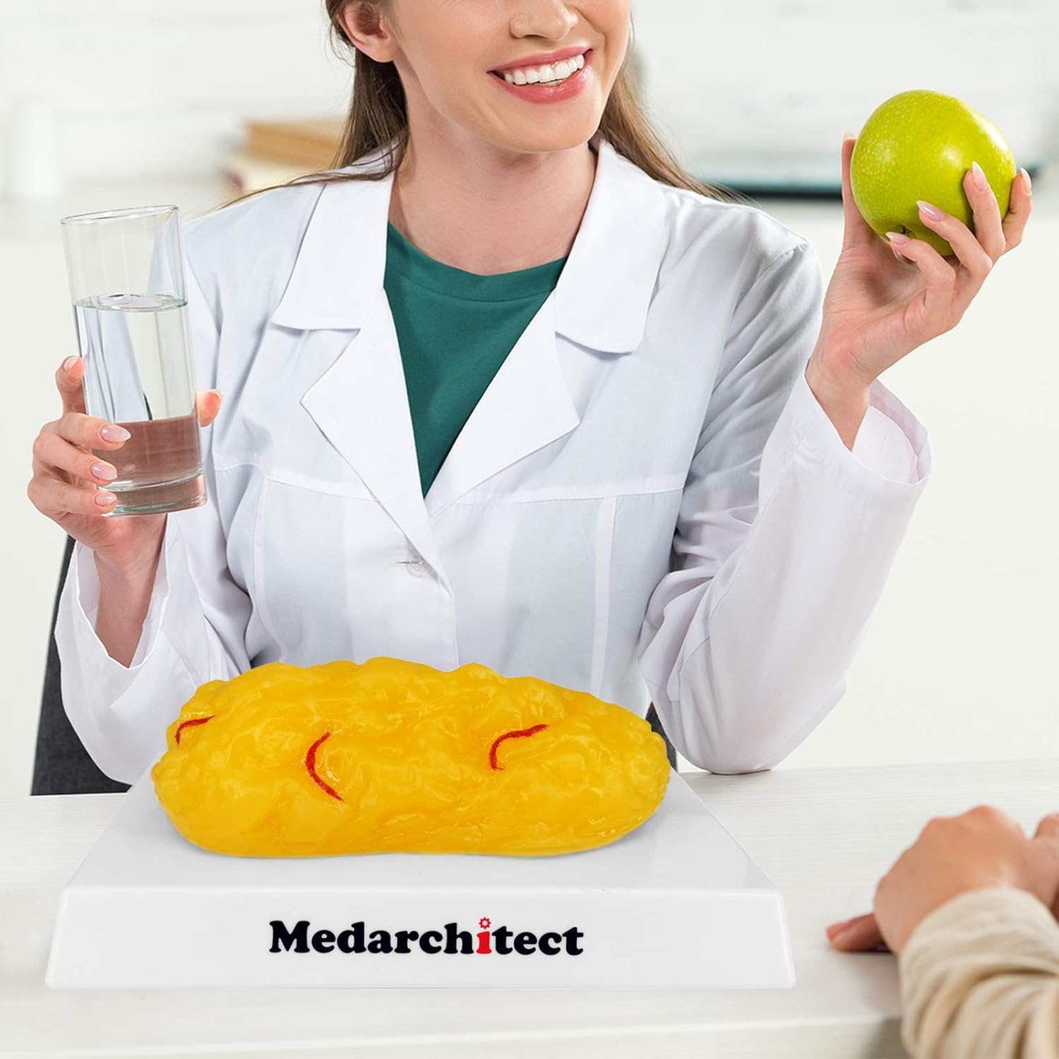 Authentic Human Body Fat Replica with Red Veins - 1 Lb, Keep Fit & Weight Loss Motivation & Reminder, Human Fatty Tissue Demonstration Model for Nutritionist, Science Course for Medical Student image number 5