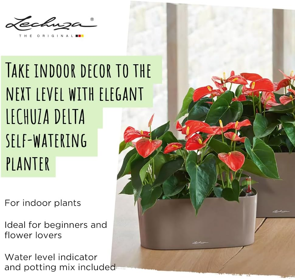 Lechuza Delta 10 Self Watering Plant Pot, White High Gloss, 30 Cm image number 5