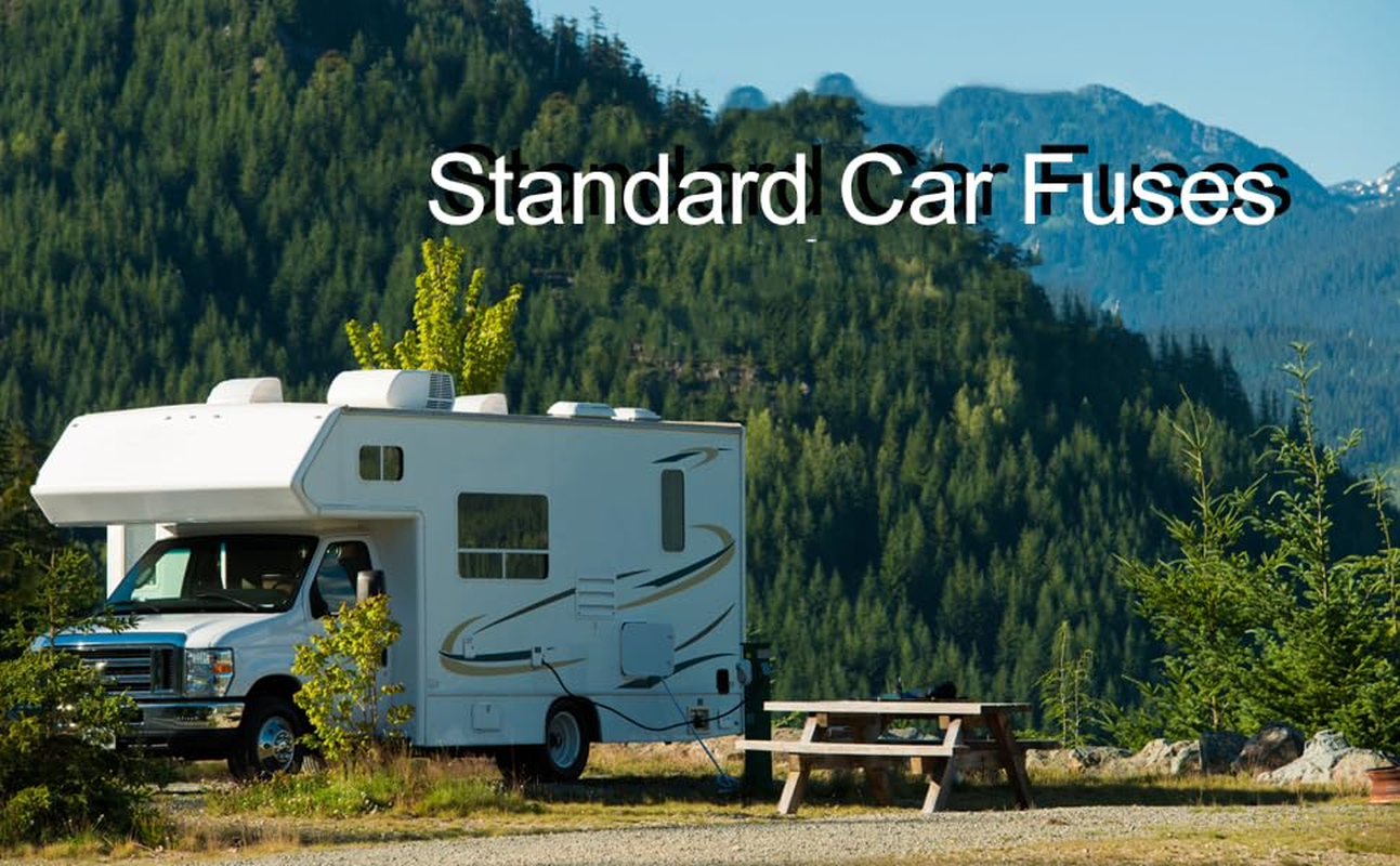 WEZCHUGHAOL 306Pcs Car Boat Truck SUV Auto Automotive Assorted Replacement Blade Fuses Standard & Mini & Low Profile Mini-2A 5A 7.5A 10A 15A 20A 25A 30A 35A with Fuse Puller Circuit Tester image number 2