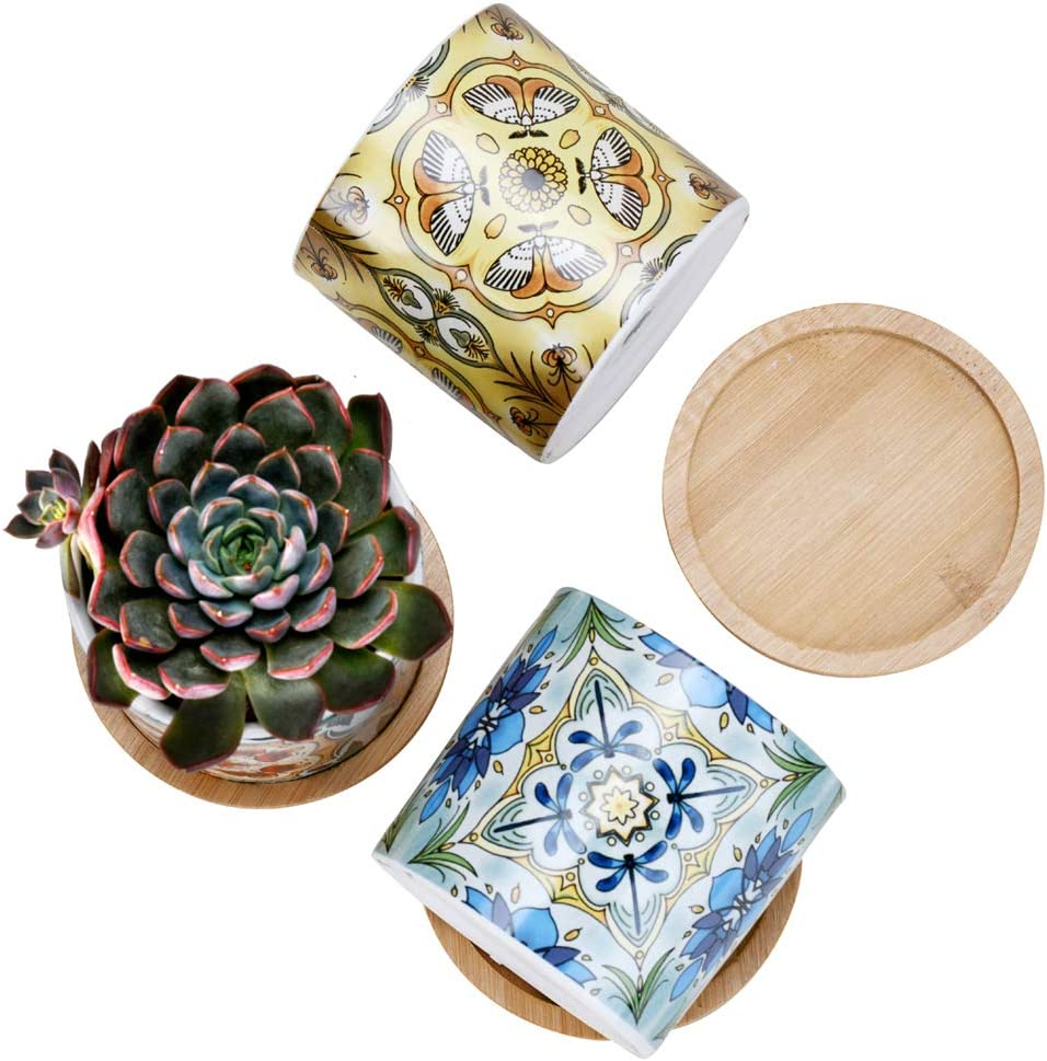Sun-E Plants Succulent Pots Cactus Pot Mini Plant Planters Decorative Ceramic Planter Gift Idea Indoor Flower Pots with Drainage Home Office Decorations Dragonfly-Butterfly -Moth Series 3PCS image number 3