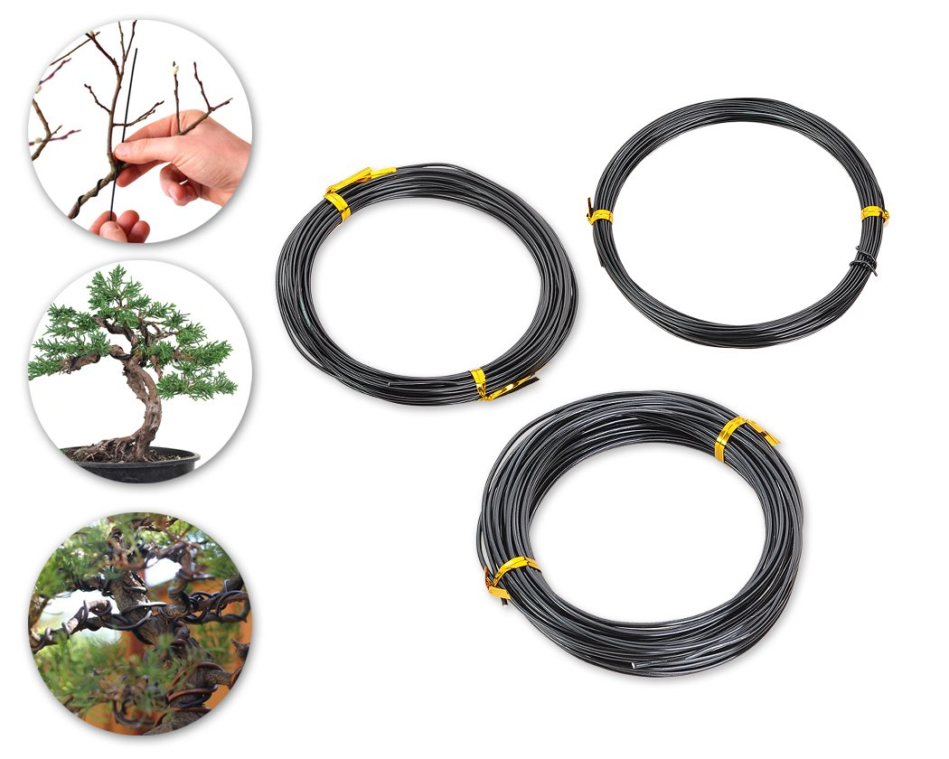 DS. DISTINCTIVE STYLE Aluminium Bonsai Wire 3 Pieces 10M Bonsai Training Tools Craft Aluminium Wire (1.0 Mm / 1.5 Mm / 2.0 Mm, 10M for Each Size) (Black) image number 4