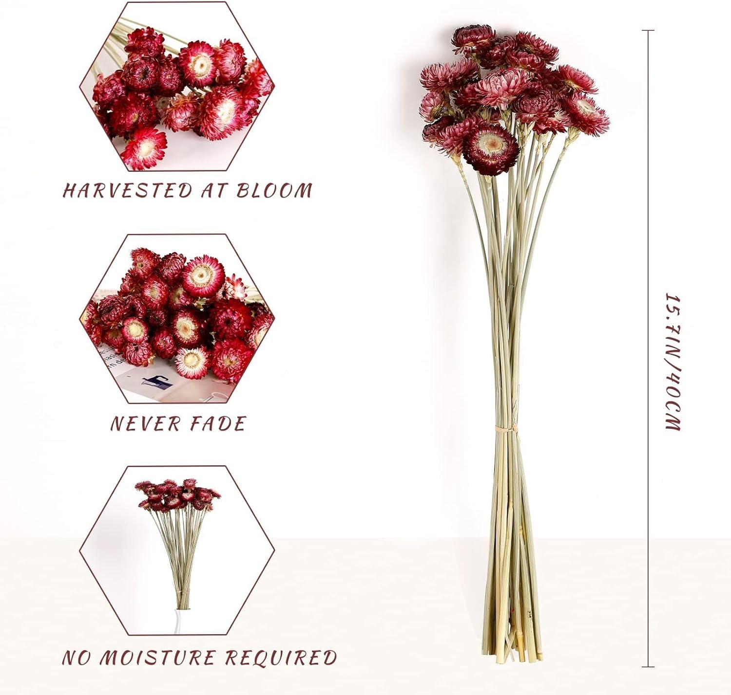 MIHUAGE Dried Flower 40PCS Daisy Bouquet 100% Natural Chrysanthemum Dry Flower with Stem for Vase Home D&eacute;cor Party DIY Arrangement Wheat Straw Bulk (Burgundy) image number 4
