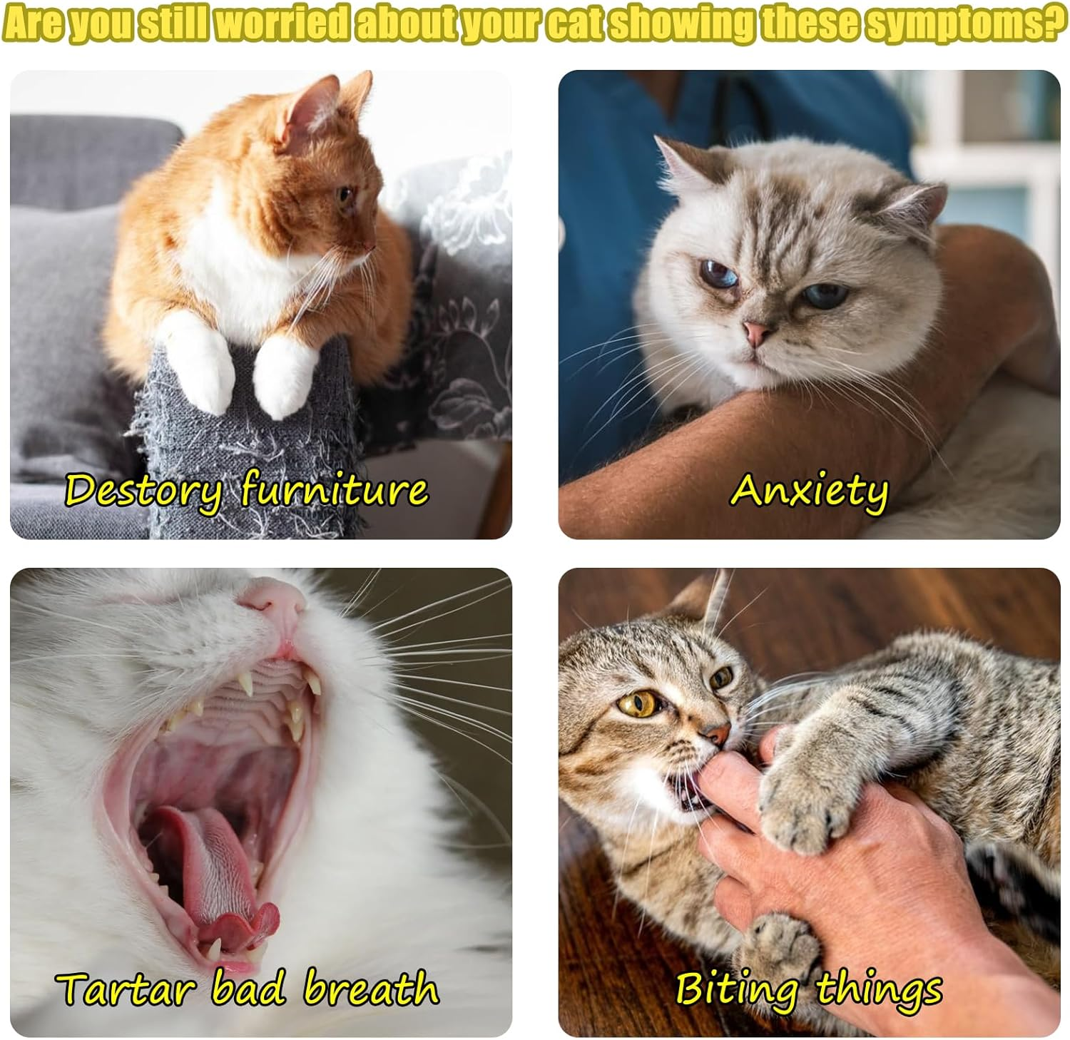 VPB 8Pack Cat Toys for Indoor Cats Adult Kitten,Door Hanging Interactive Cat Jumpy Toys with Bell and Feather Tail,Toys for Indoor Cat Kitten,No Batteries Required,Cat Enrichment Boredom Mouse Toy image number 4