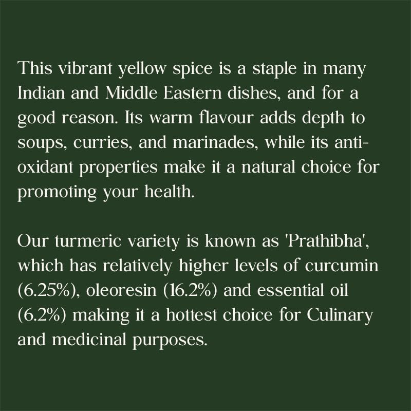 Mai Greens Prathibha Turmeric Powder | Upto 2X Curcumin | Upto 6.5% Curcumin - 150G