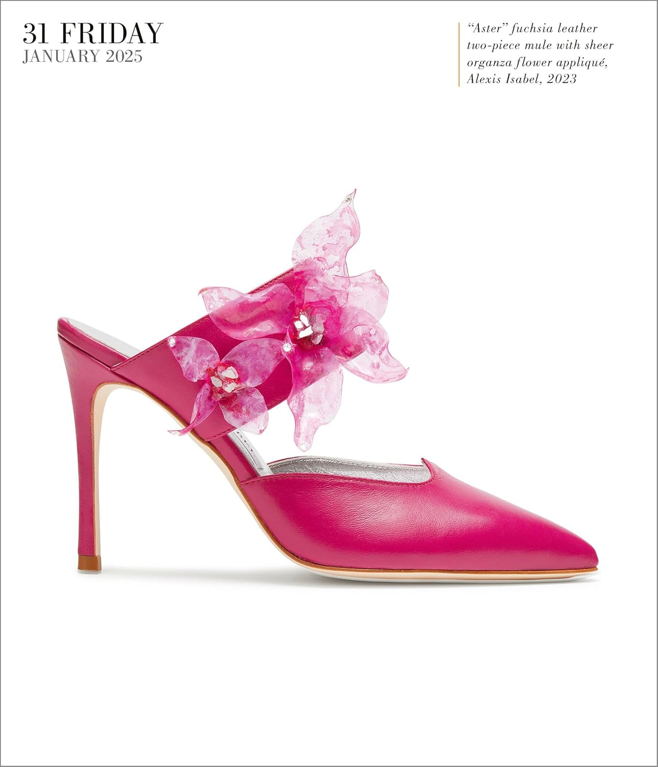 Shoes Page-A-Day Gallery Calendar 2025: Everyday a New Pair to Indulge the Shoe Lover'S Obsession image number 1