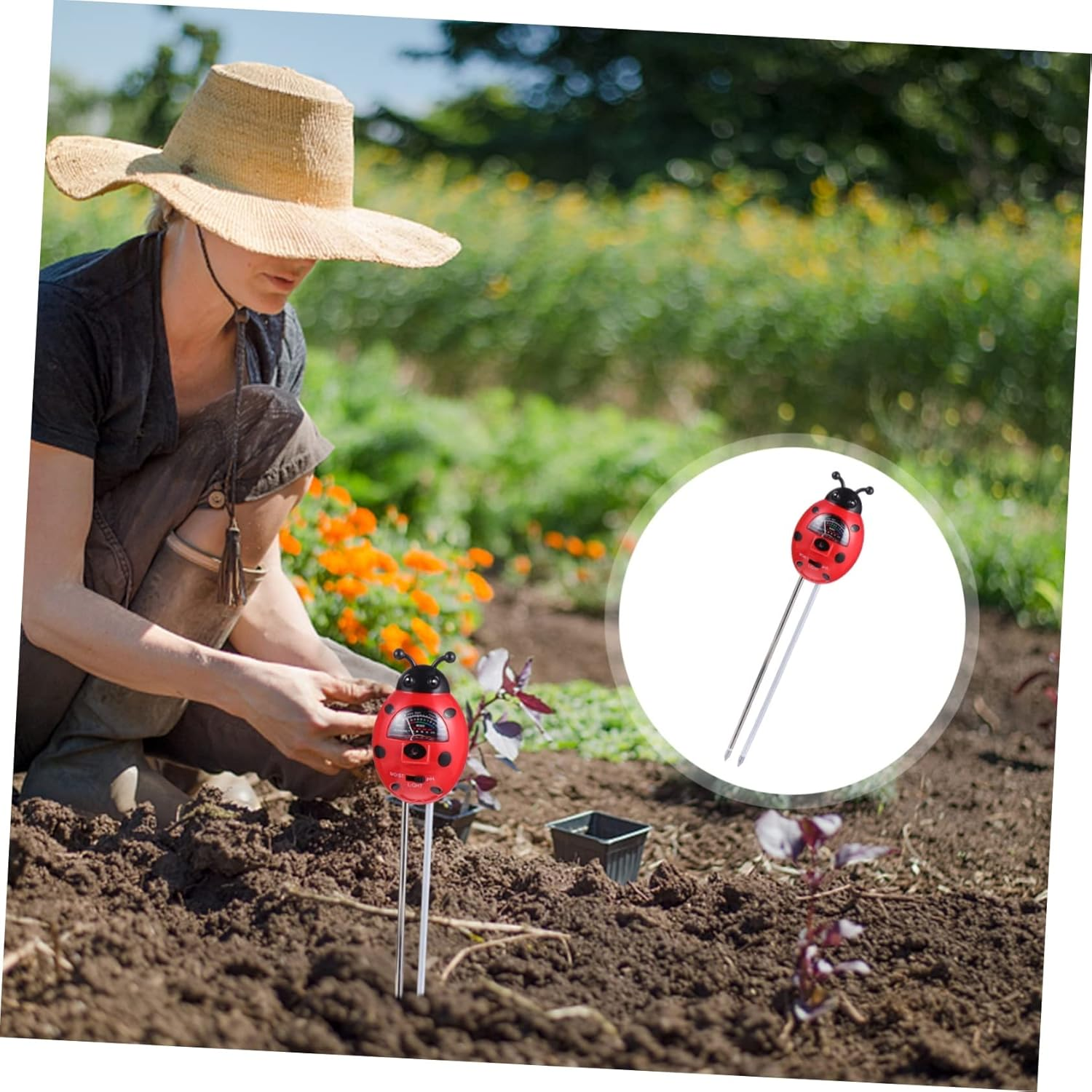 BESPORTBLE 2Pcs Ladybug Soil Tester Kit Ph Moisture Light for Gardening Planting Supplies image number 3