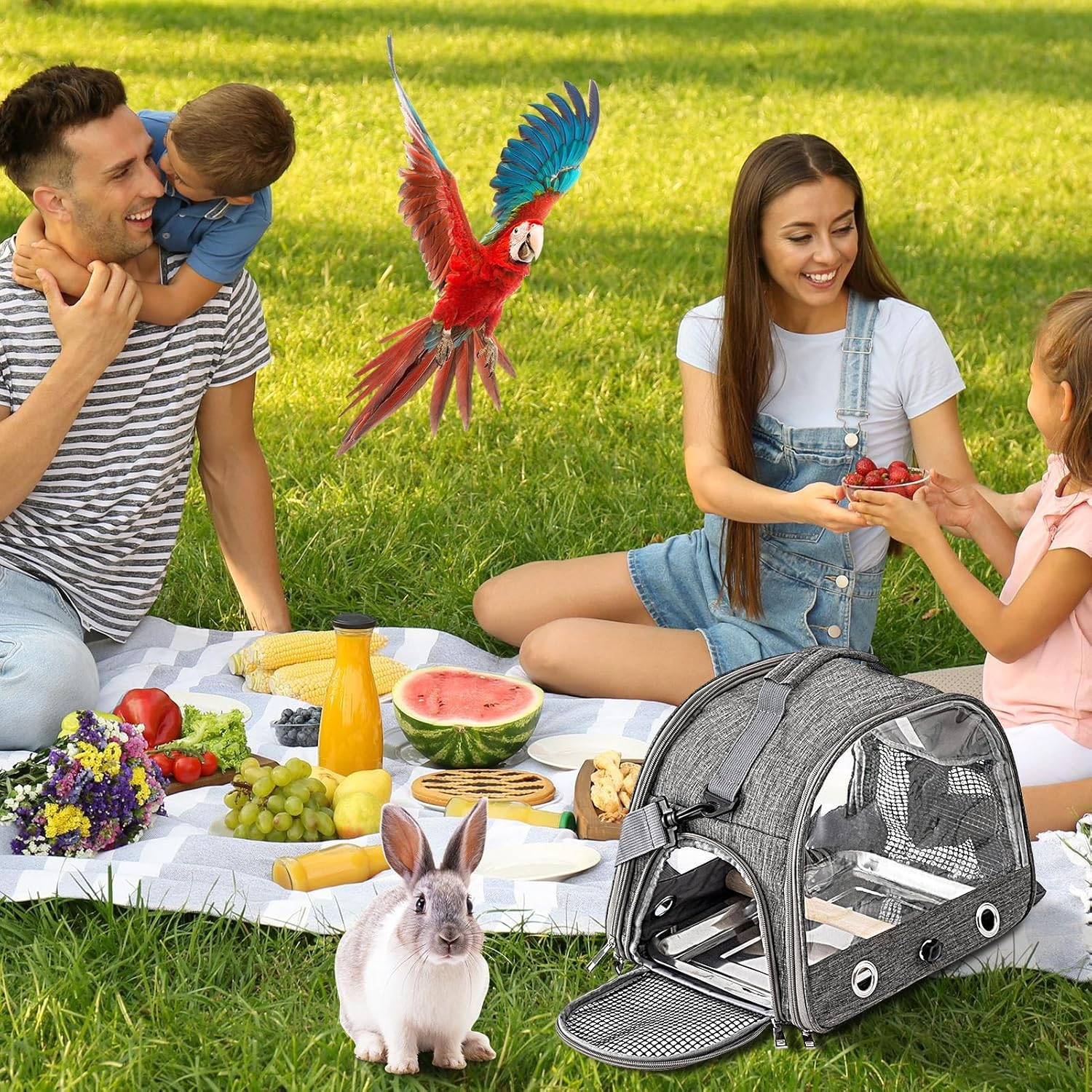 Bird Travel Cage - Portable Bird Travel Bag | Travel Backpack with Perch and Standing Tray, Breathable Pet Carrier for Veterinary Visits, Outdoor Adventure, Shopping image number 6