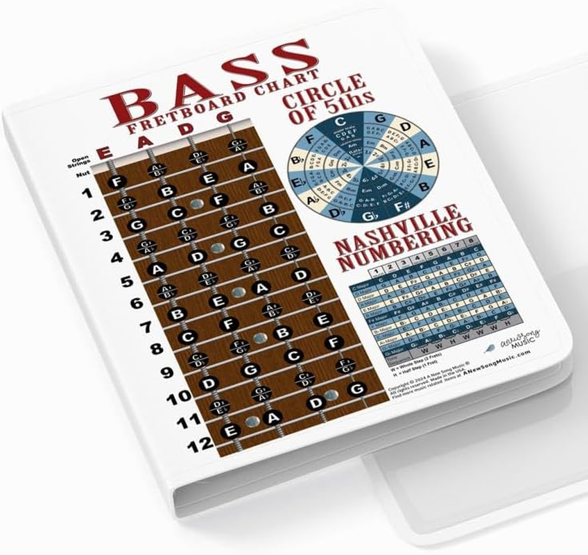 A New Song Music Laminated 4 String Bass Fretboard Notes Chart Nashville Number System & Circle of 5Ths Easy Instructional Poster for Beginner for Notebook 2024-8.5" X 11" image number 3