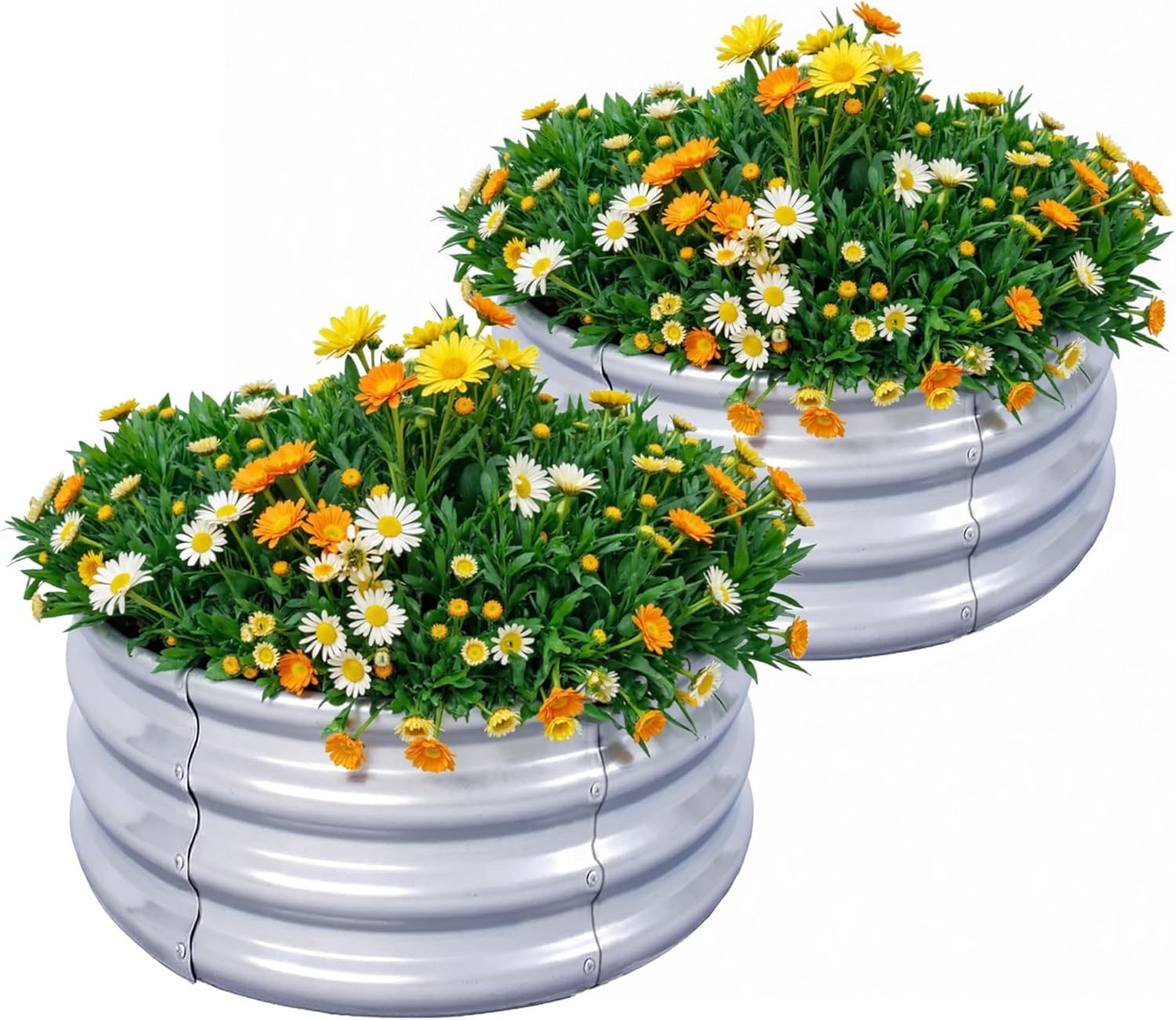 2Pcs Raised Garden Bed 2X2X1 FT round Galvanized Metal Raised Garden Boxes Outdoor Planter Box for Vegetables Flowers Herb (2&times;2&times;1 FT / 60 * 60 * 29 CM) image number 5