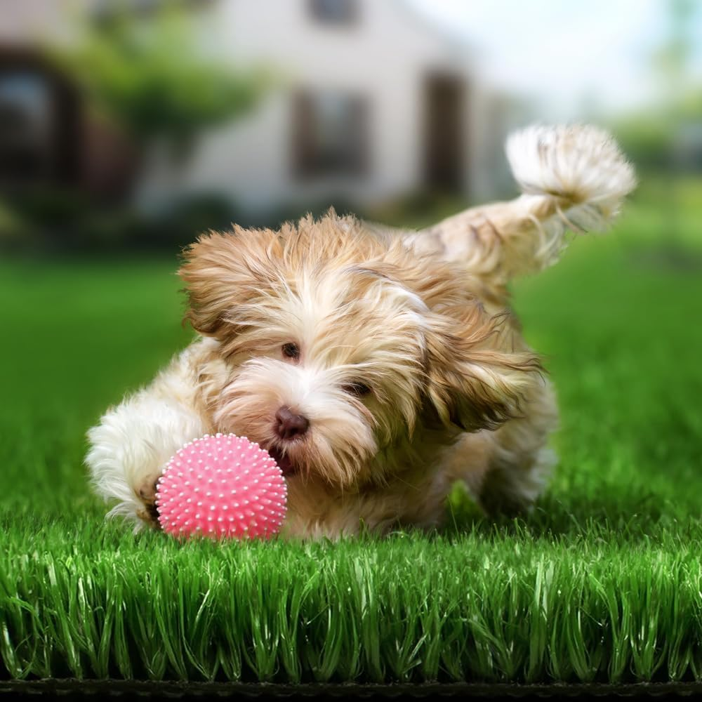 OTANIC Artificial Grass 10SQM Roll 2X5M Synthetic Turf Mat in 12Mm Pile Height, Indoor Outdoor Yarn Lawn Plant Rug, DIY Garden Grass Flooring Carpet with Drainage in Oliver Green Colour image number 3