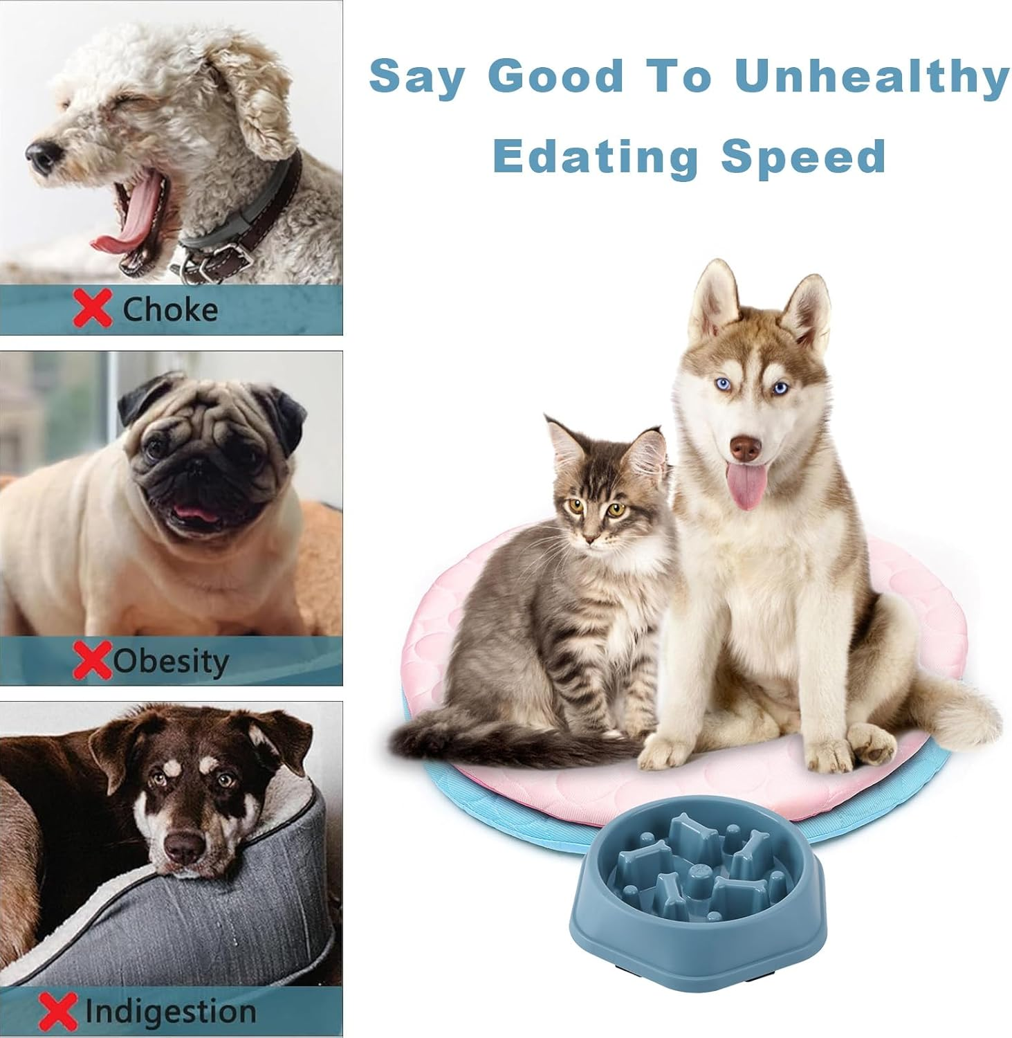 Anti-Slinging Bowl for Dogs, Sling Bowl Dogs, Slow Feeder Dog, anti Sling Bowl for Dogs, anti Slinging Bowls for Dogs, anti Slinging Bowl, Cat (Blue)