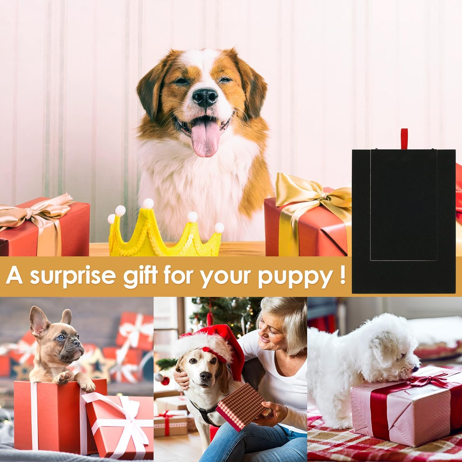 Fxvhojq Dog Scratch Pad for Nails, Sandpaper Nail File Board with Built-In Snack Box, Grinding Square Scratching Scratchboard, Puppy Clippers Small and Medium Dogs - C image number 3