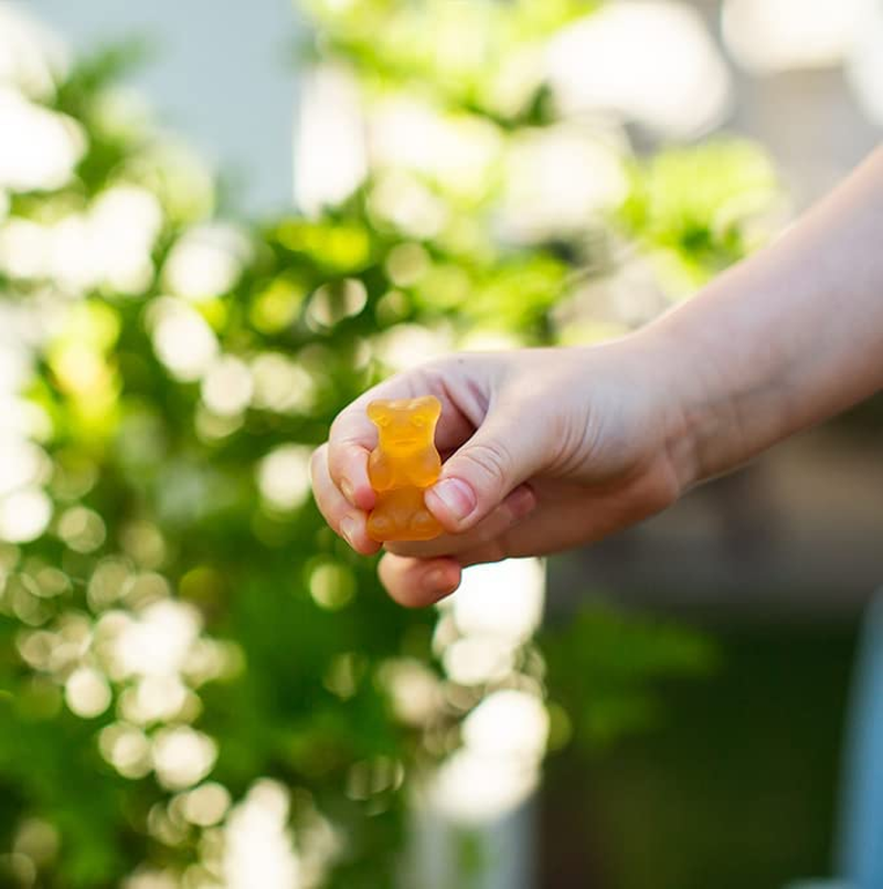 Buderim Ginger Bears Chewable Treat Snack 175 G image number 3