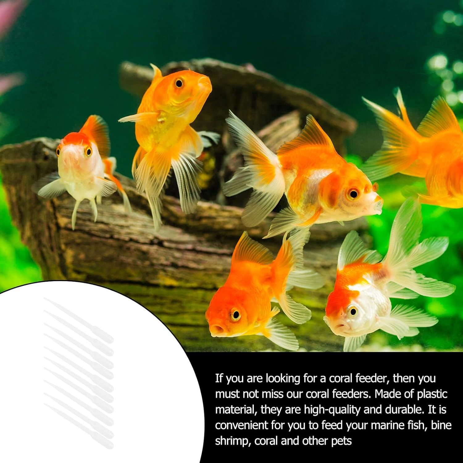 Balacoo 10Pcs 3Ml Plastic Coral Syringe Tubes Manual Shrimp Liquid Feeders for Aquarium Fish Feeding Pet Supplies image number 1