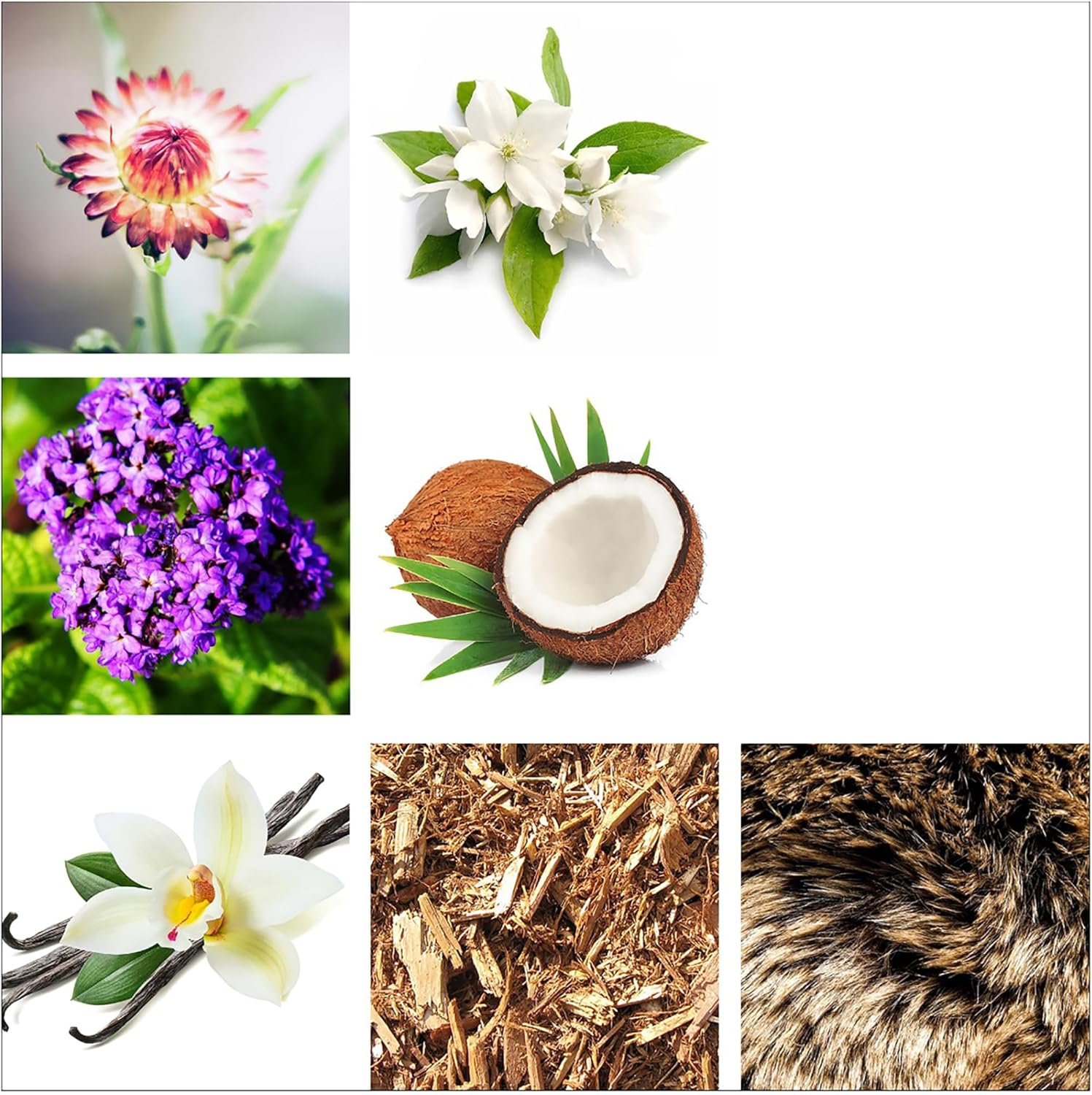 Rachel Zoe Empowered Scented Candle - Notes of Jasmine, Coconut and Musk - Contains Paraffin Soy Wax, Cotton Wick and Perfume Oil - Leopard Printed Jar - Long Lasting Floral Fragrance - 6.3 Oz image number 1