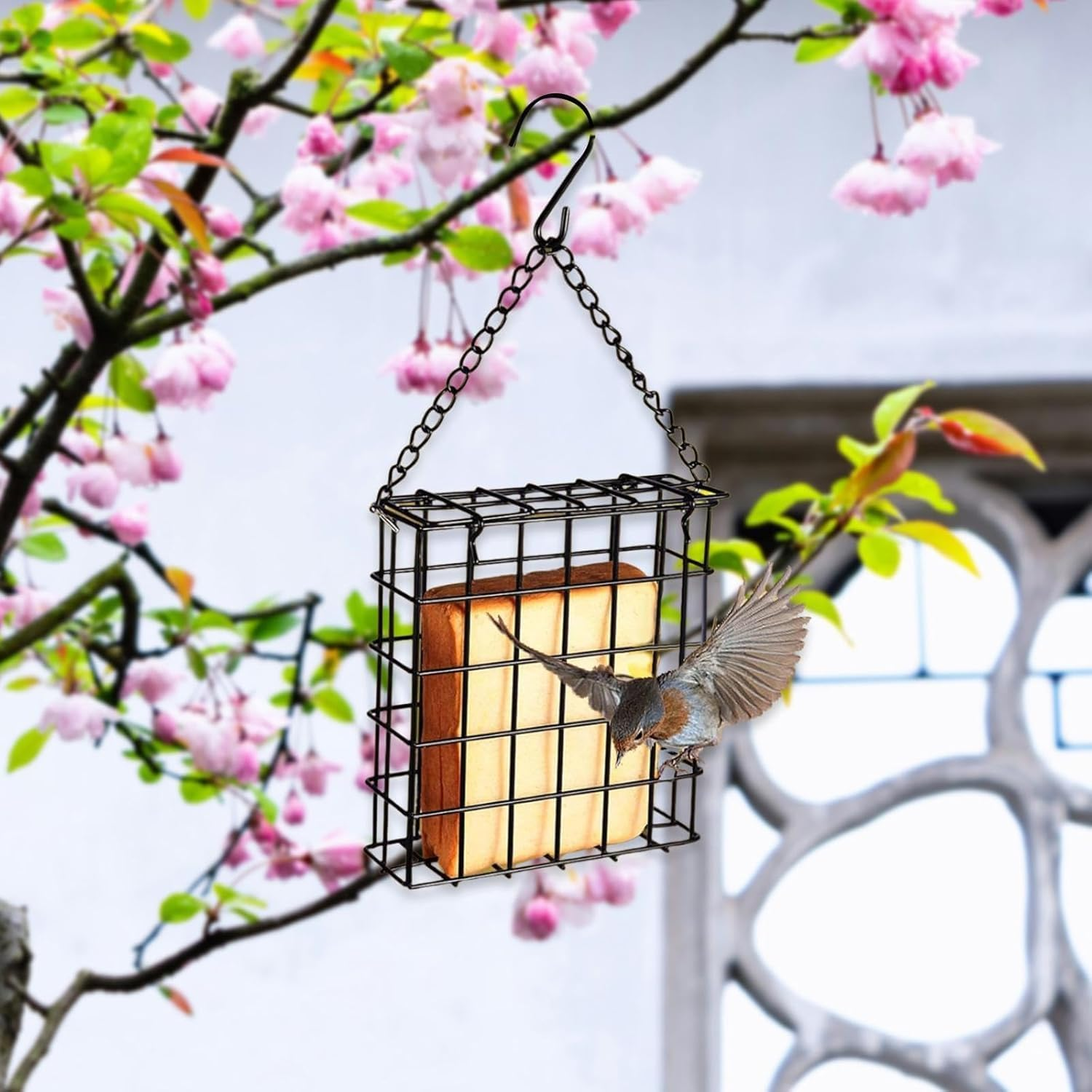 1PCS Suet Feeder for Wild Birds, Sturdy Metal Cage Bird Feeder with Hook for Outdoor Garden Patio, Hanging Suet Cake Feeders for Bird Lovers image number 3