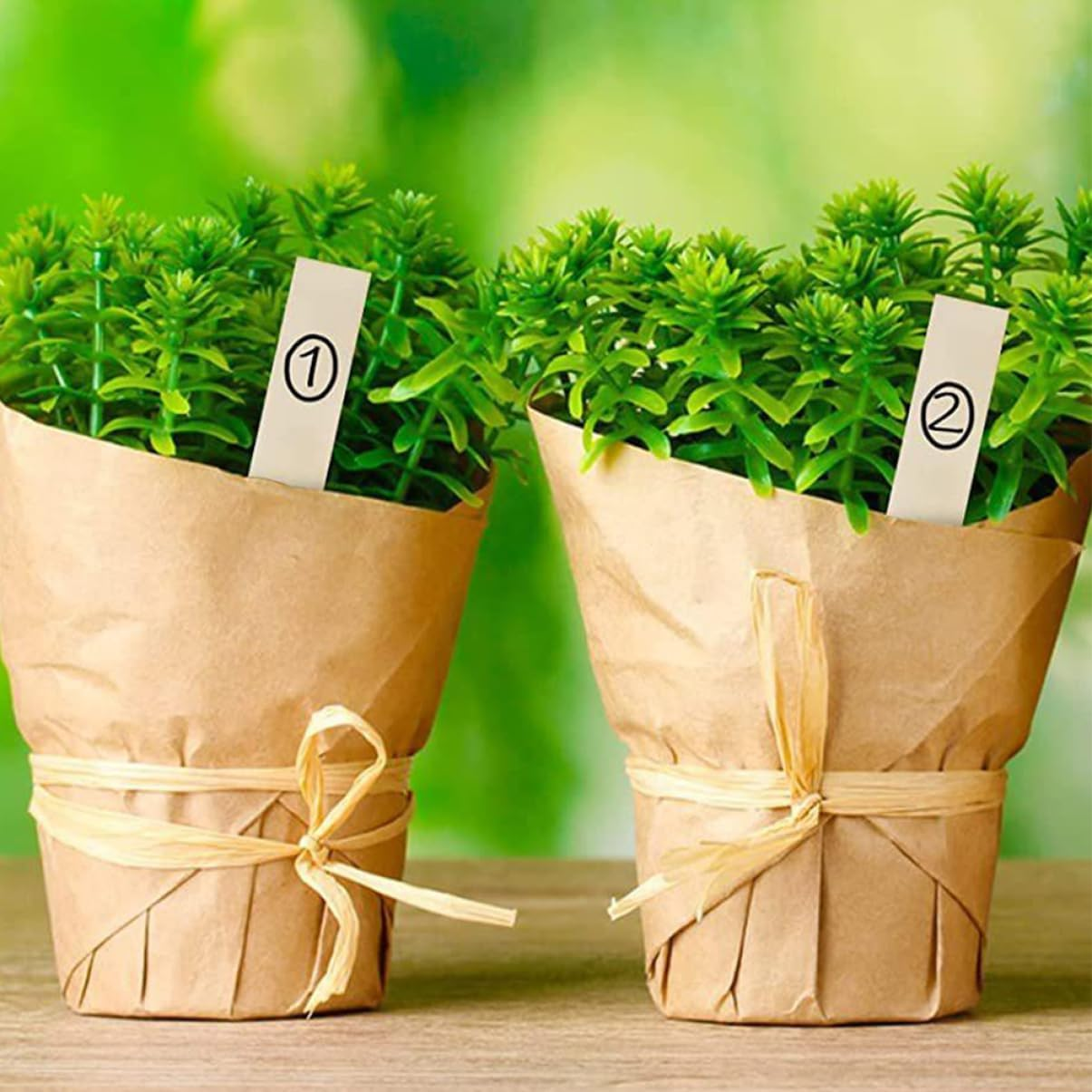 30Pcs Wooden Plant Labels Garden Markers for Vegetable and Flower Beds 2X15Cm Linden Wood Reusable Name Tags for Bonsai and Gardening Supplies image number 3