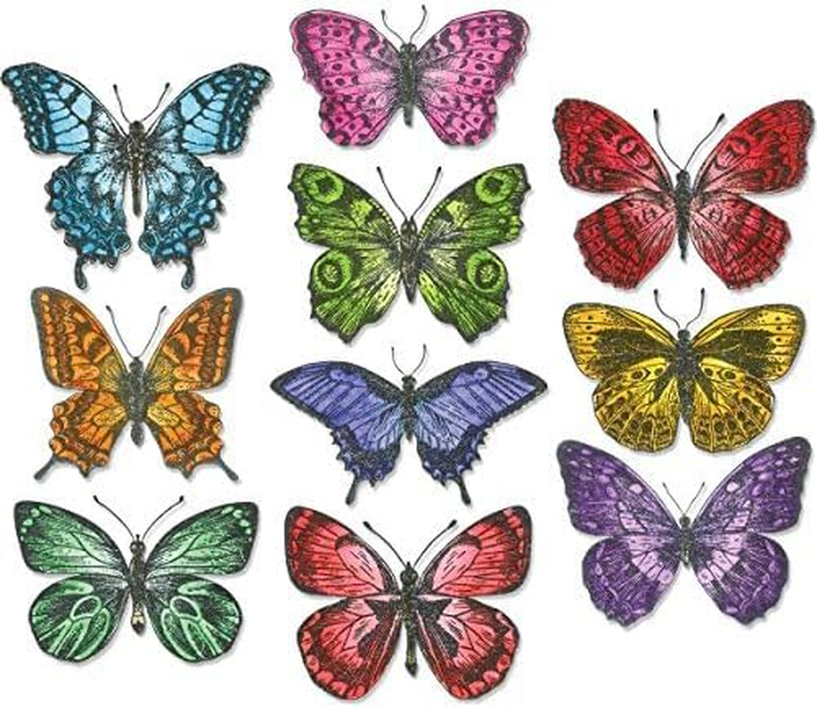 Sizzix Die Set, Flutter by Tim Holtz, 20 Pack, Multi Color, One Size Framelits, Multicolor image number 1