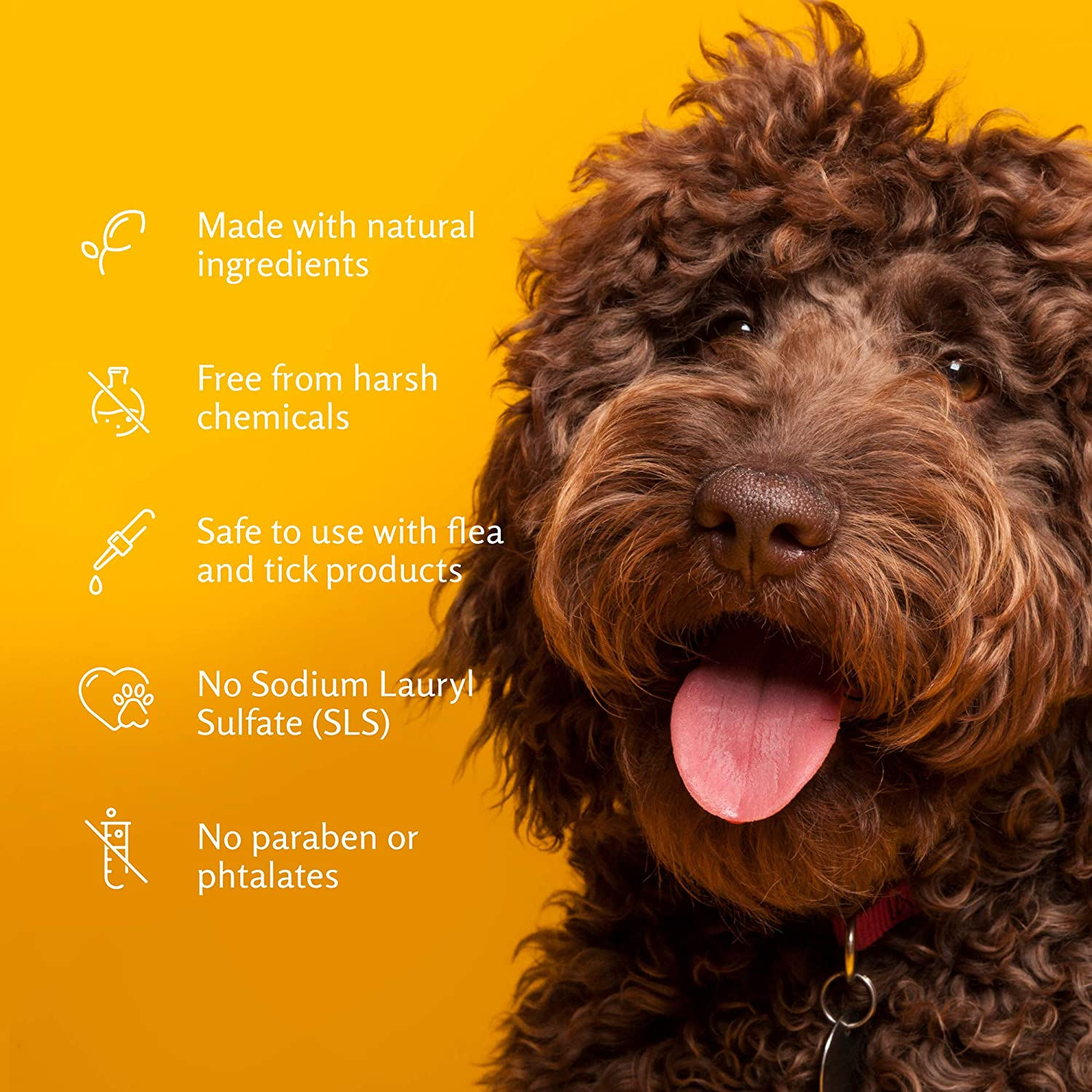 Arm & Hammer for Pets Tearless Puppy Shampoo | Gentle & Effective Tearless Shampoo for Puppies & All Dogs | Coconut Water Scent Your Dog Will Love, 20 Ounces - 1 Pack Puppy or Dog Shampoo image number 1