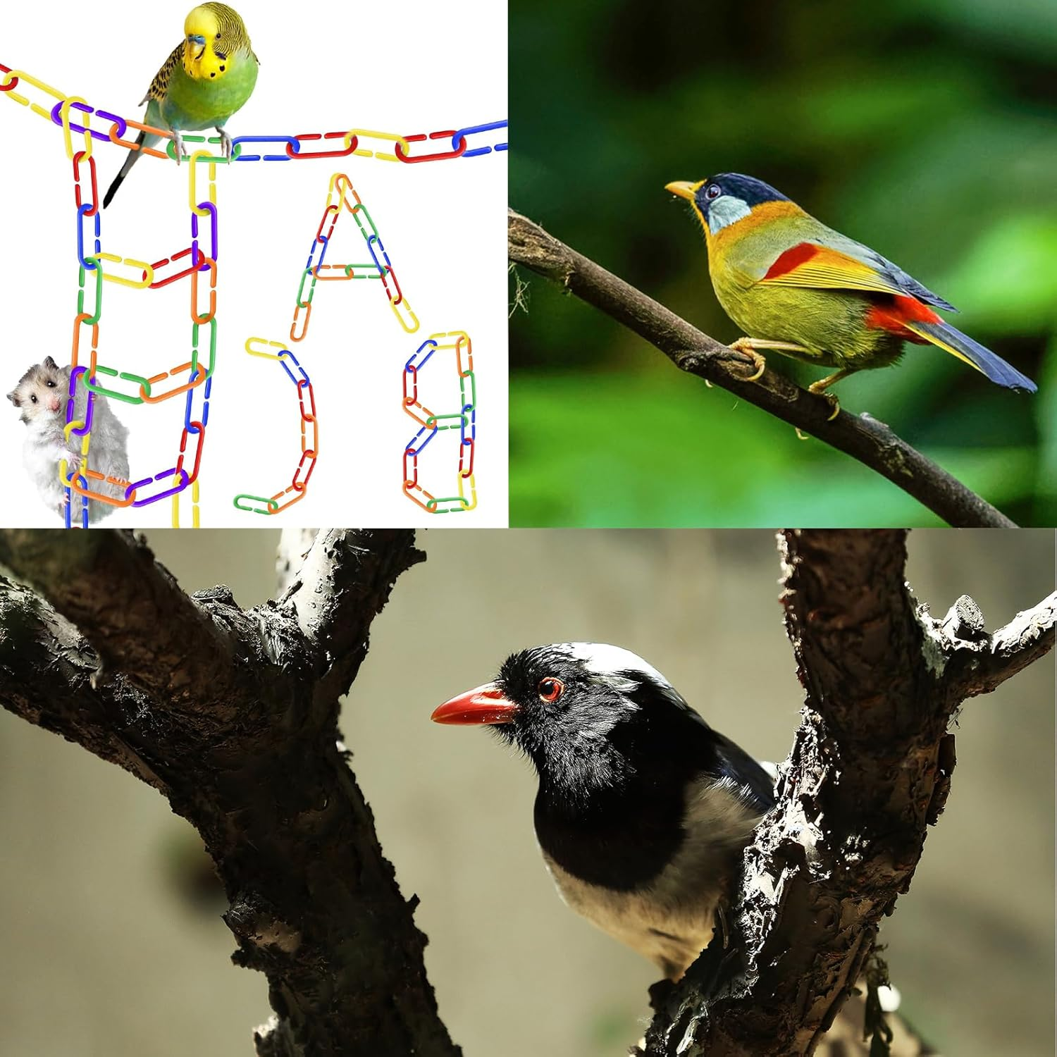 250 Pieces Plastic C-Clip Hooks Chain Links,Rainbow C-Links for Parakeets,Small Pet Rat Parrot Bird Toy Cage image number 3