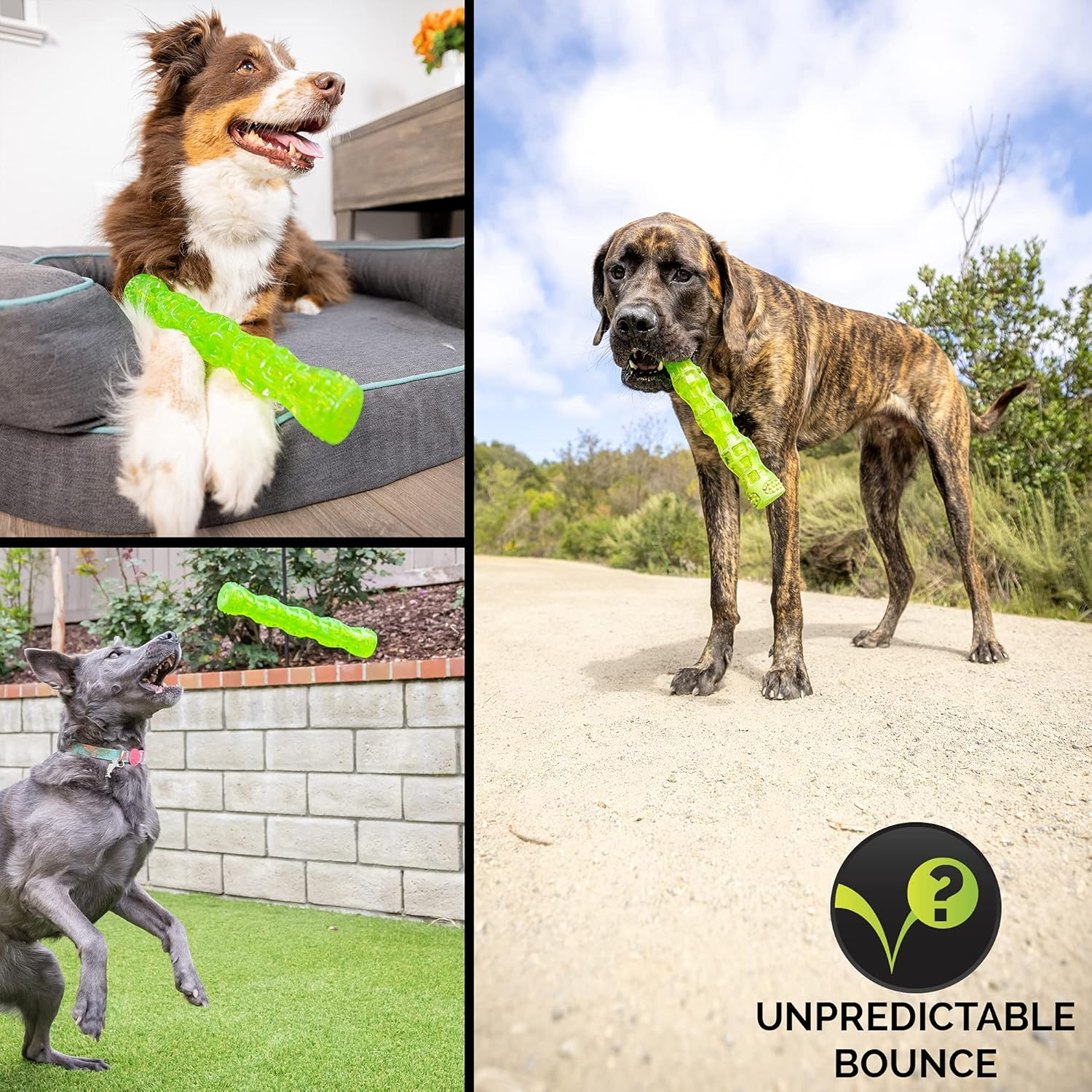 Hyper Pet Dura-Squeaks Stick Dog Toy, Large image number 2