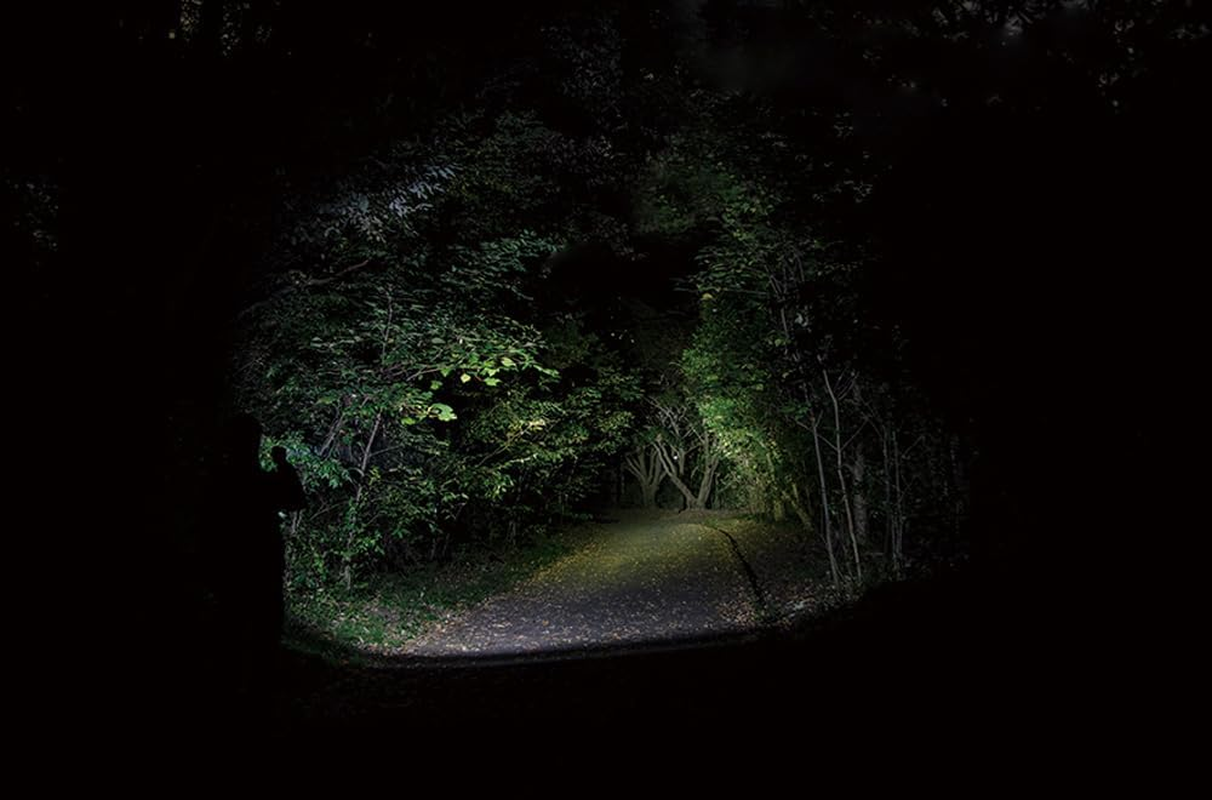 GENTOS ST-132D LED Flashlight, 480 Lumens Brightness, 3 Hours of Practical Lighting, Dust Resistant, Water Resistant, 3.3 Ft (1 M) Waterproof, Uses 2 AA Batteries image number 3