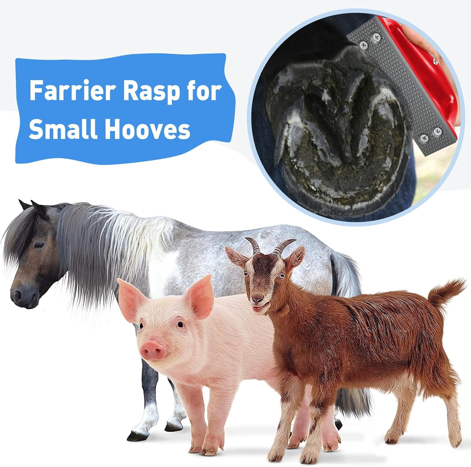 Mini Hoof Rasp for Horses, Goat Feet Hooves, Hand-Held Rasp to Removes Excess Hoof Faster Horseshoe File Coarse Tooth for Foals, Goats and Other Animals image number 4