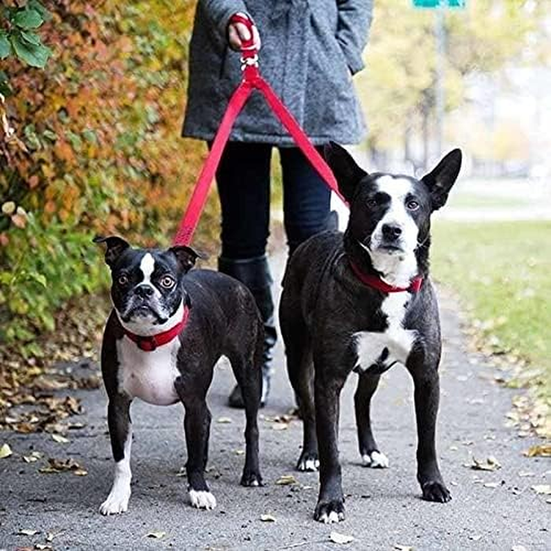 Double Dog Leash Lead Coupler, 1.5 Cm Width