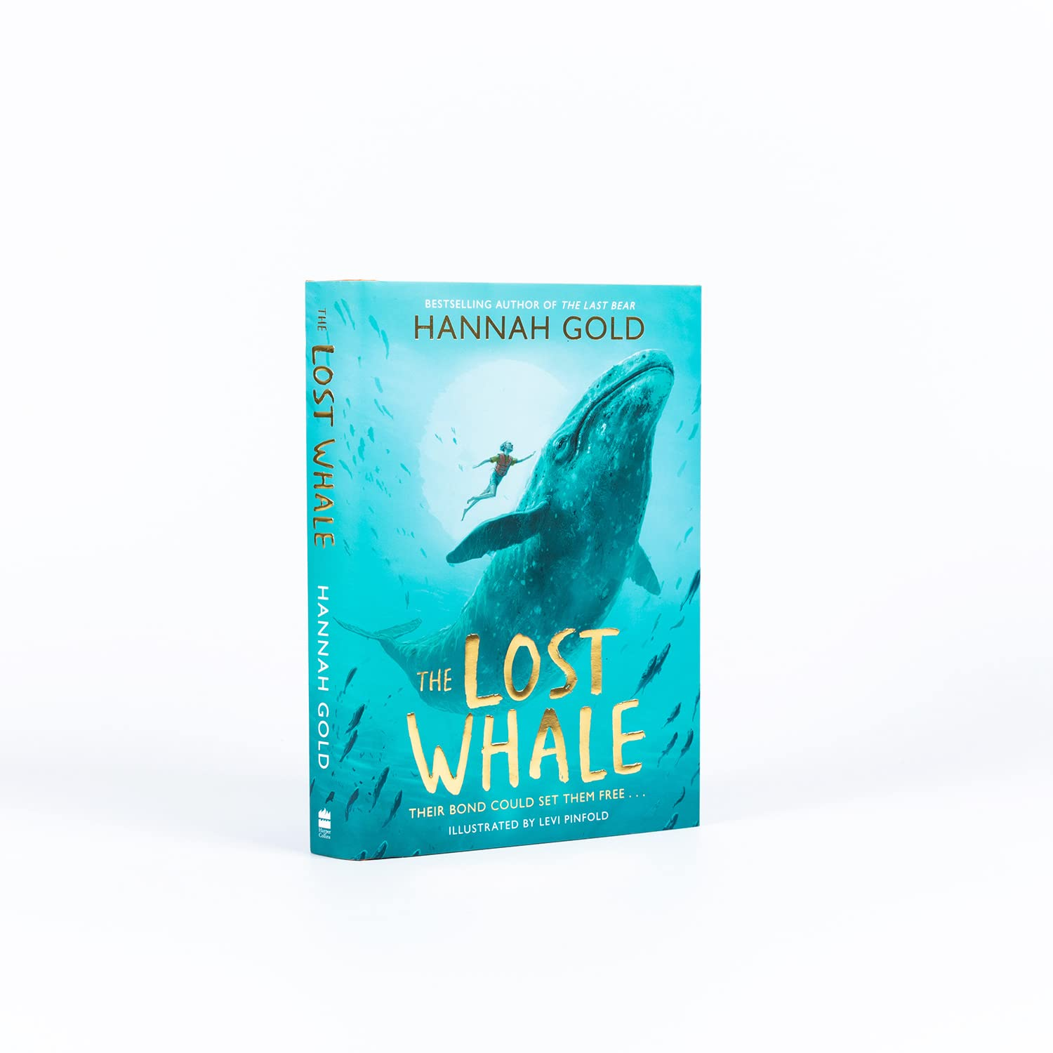 The Lost Whale: a Powerful Animal Adventure Story for Children, from the Bestselling Author of the Last Bear image number 1