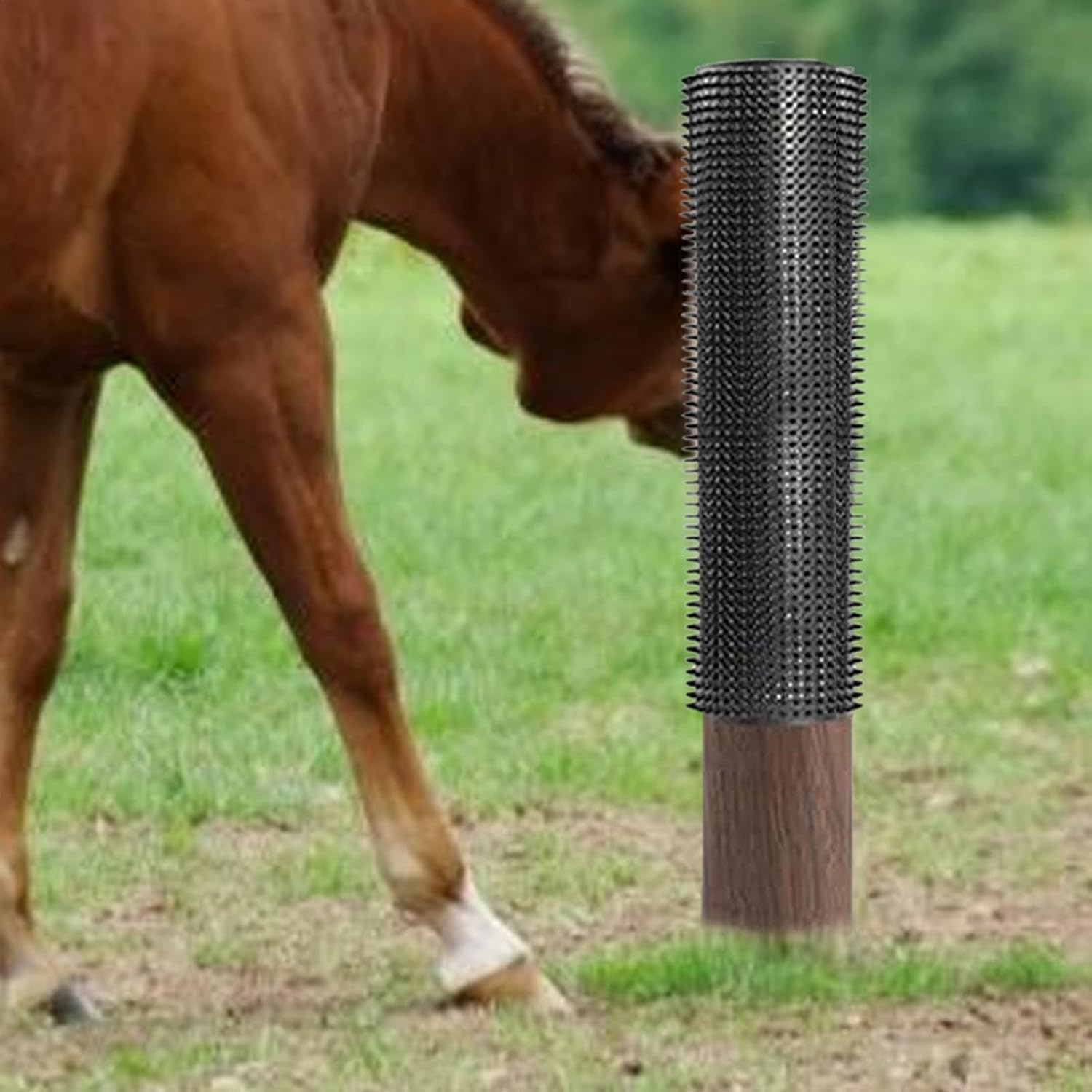 Livestock Brushes for Scratching Post | Goat Brushes for Grooming,Reusable Safe Itch Relief Horse Cow Grooming Board image number 5