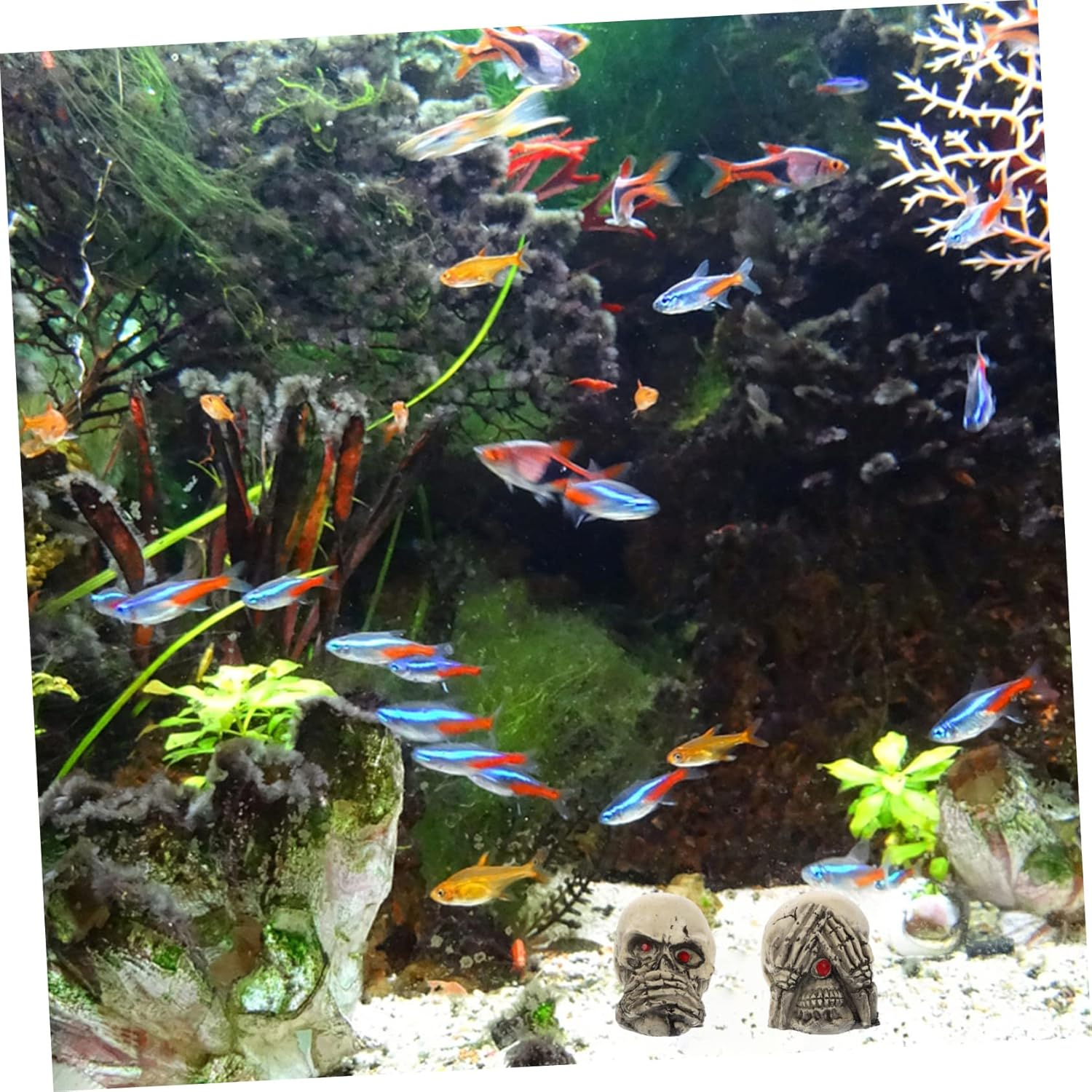 Happyyami 3Pcs Resin Skulls Aquarium Decorations for Fish Tanks and Crawling Pets Halloween Tabletop Ornaments Unique Haunted House Props for Party and Photo Pranks image number 3