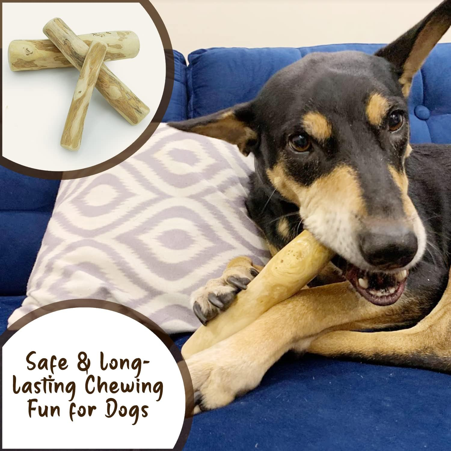 Goofy Tails Coffee Wood Chewing Stick for Dogs | 100% Natural, Caffeine Free Chew Toy for Dogs | Dental Care & Training Chewing Stick | Handmade Durable Toy for Aggressive Chewers (Large) image number 6