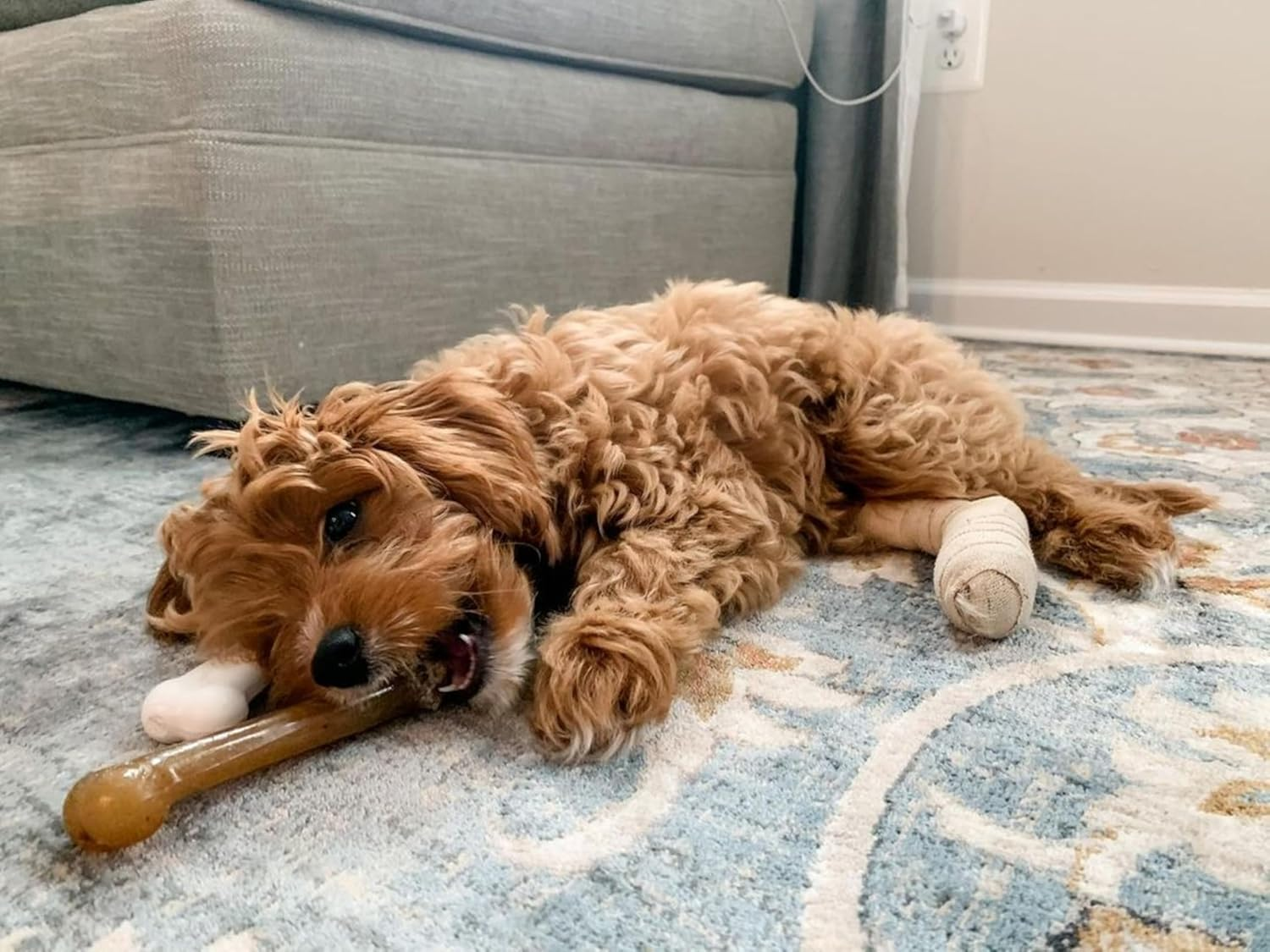 Nylabone Flexichew Chicken Bone Chew Toy on Card, Giant image number 6