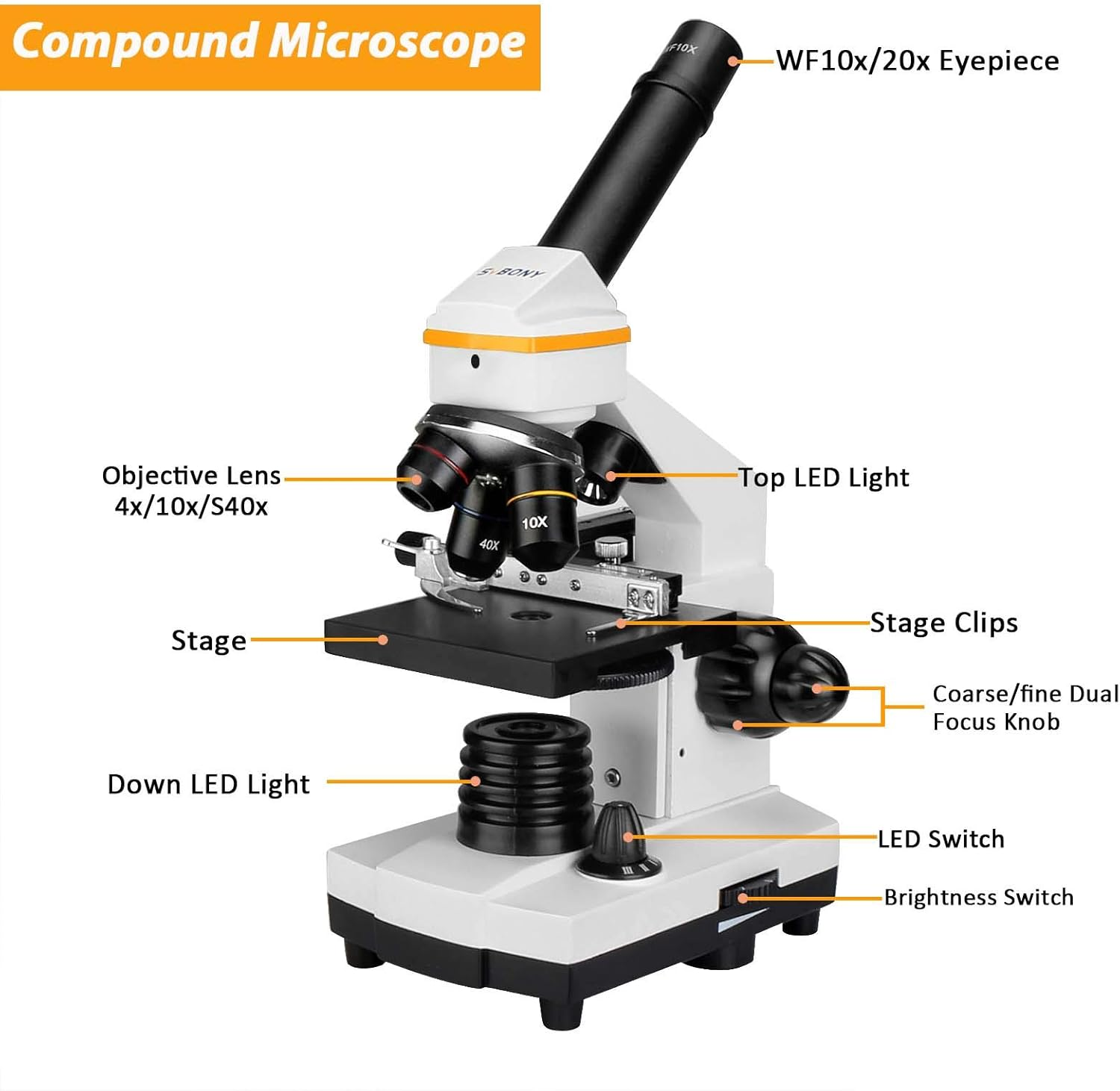 SVBONY SV601 Compound Microscope 40X-1600X, Portable Biological Electronic for Kids Adults Beginner, Dual Light, Fine Focus, Wide Field 10X 20X S40X Eyepiece for Laboratory, High School image number 6