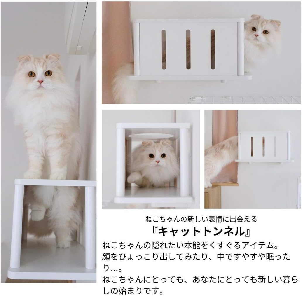Animacole Cat Road Cat Step Cat Tunnel Small Hideout Made in Japan image number 2