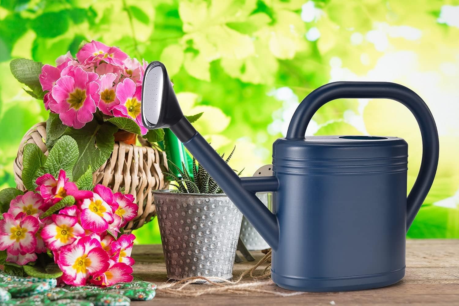 Watering Can for Indoor Plants, Garden Watering Cans Outdoor Plant House Flower, Watering Can Large Long Spout with Sprinkler Head (Grey, 5L) image number 3