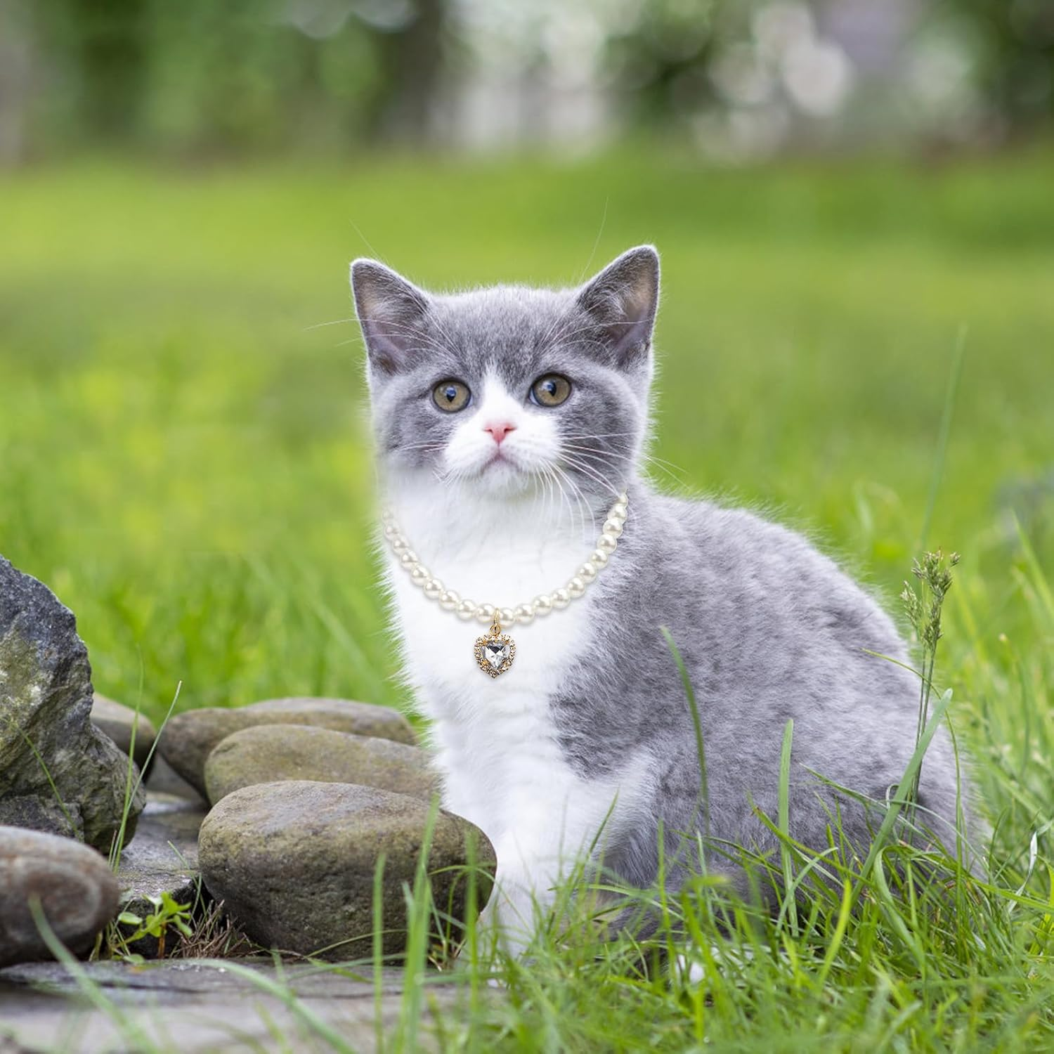 3-Piece Pearl Collar for Dogs and Cats, Adjustable Pearl Collar with Heart-Shaped Rhinestone Pendant, Wedding Jewellery for Small Cat Puppies image number 2