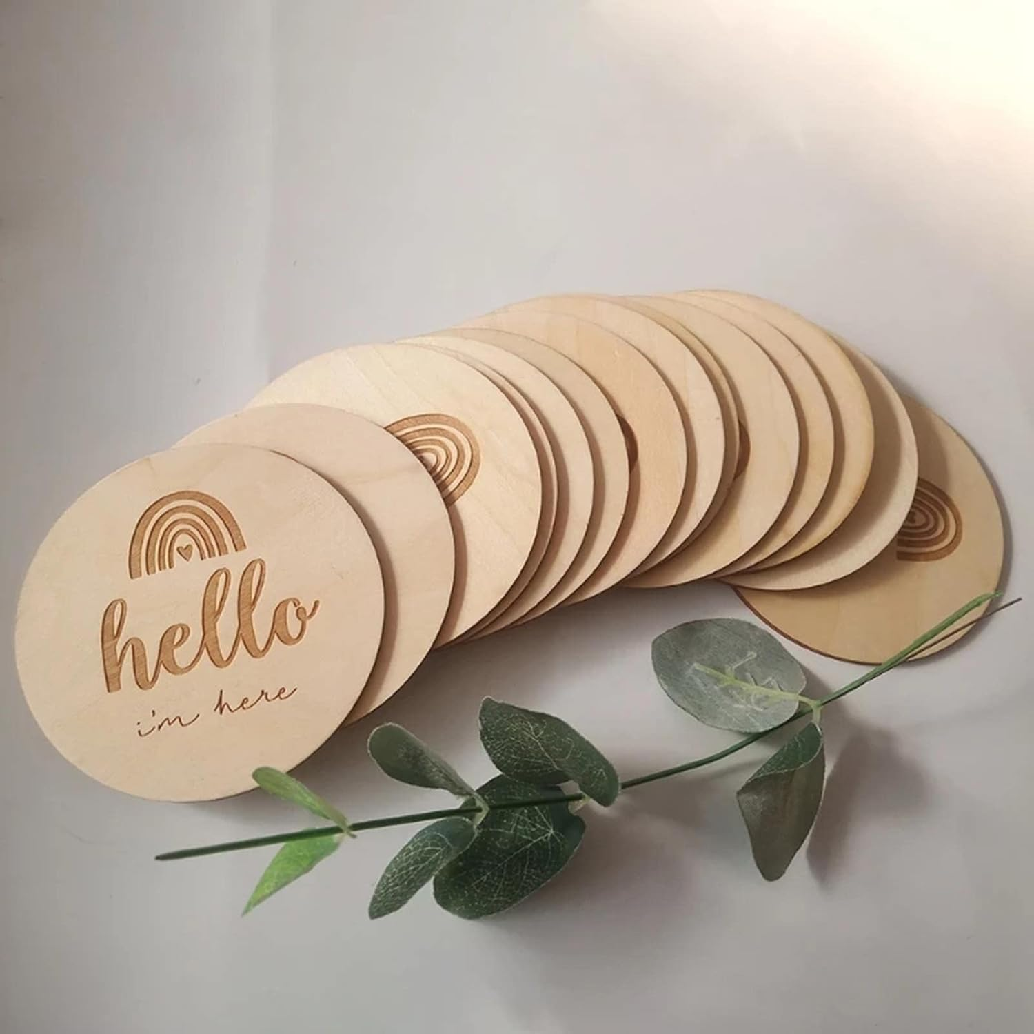 14 Pieces of round for Monthly Recording Disc image number 4