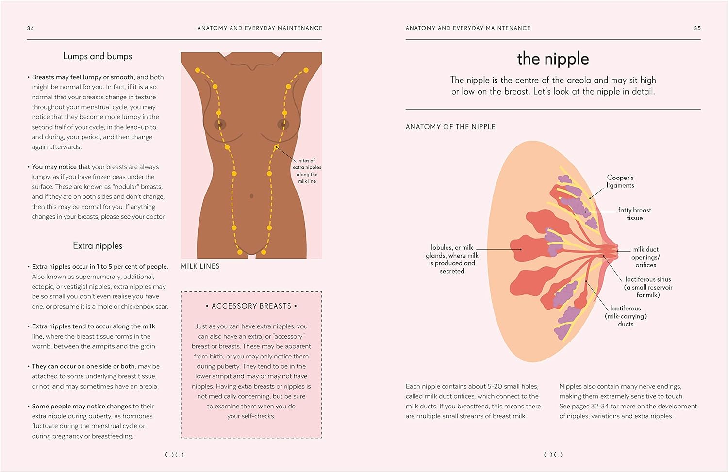 Breasts: an Owner'S Guide image number 2