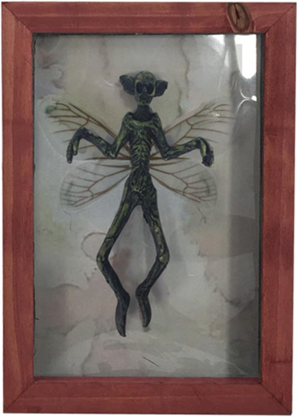 Mysterious Ghost Specimen Photo Frame - Halloween Bat Specimen Display, Gothic Style Resin Frame | Decorative Wall Hanging for Ghost Festival, Taxidermy Art, Dark Wind Home Ornament, Personality Decor